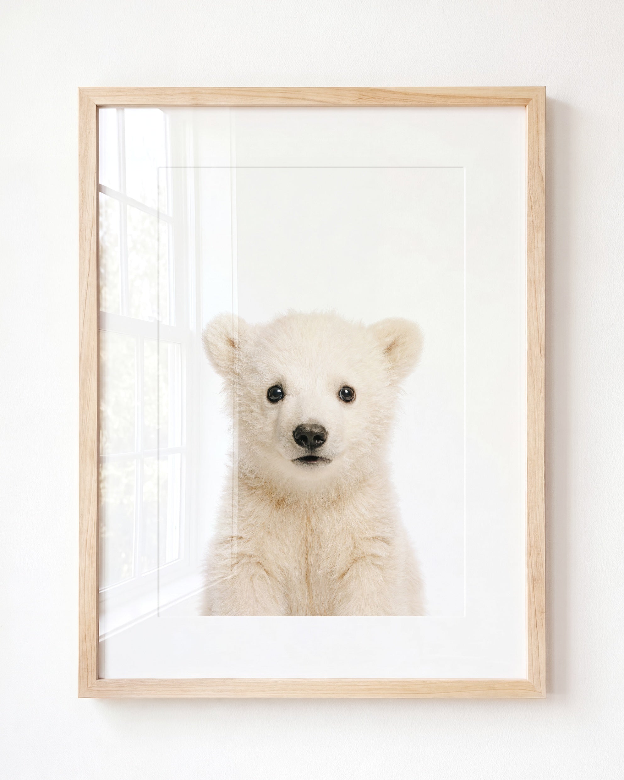 Baby Polar Bear