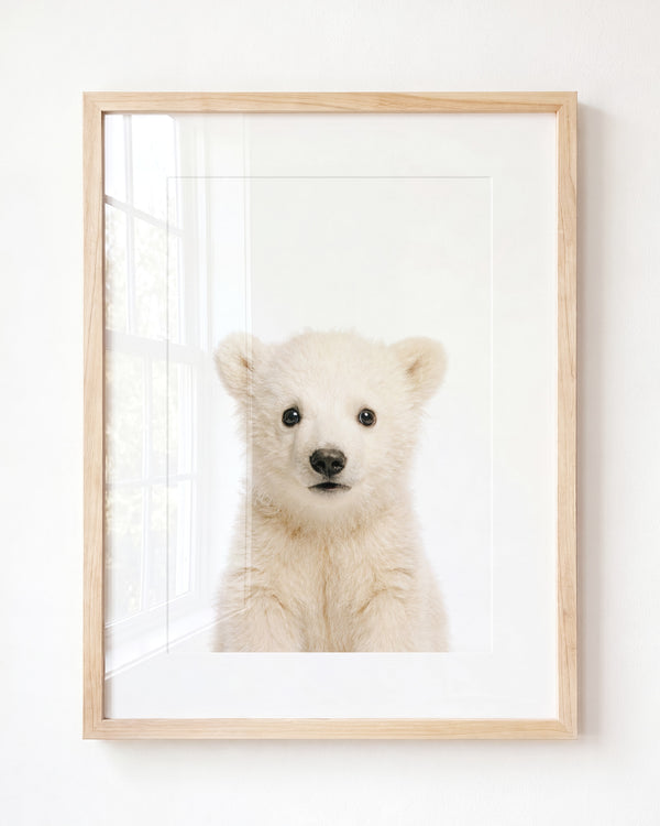 Baby Polar Bear