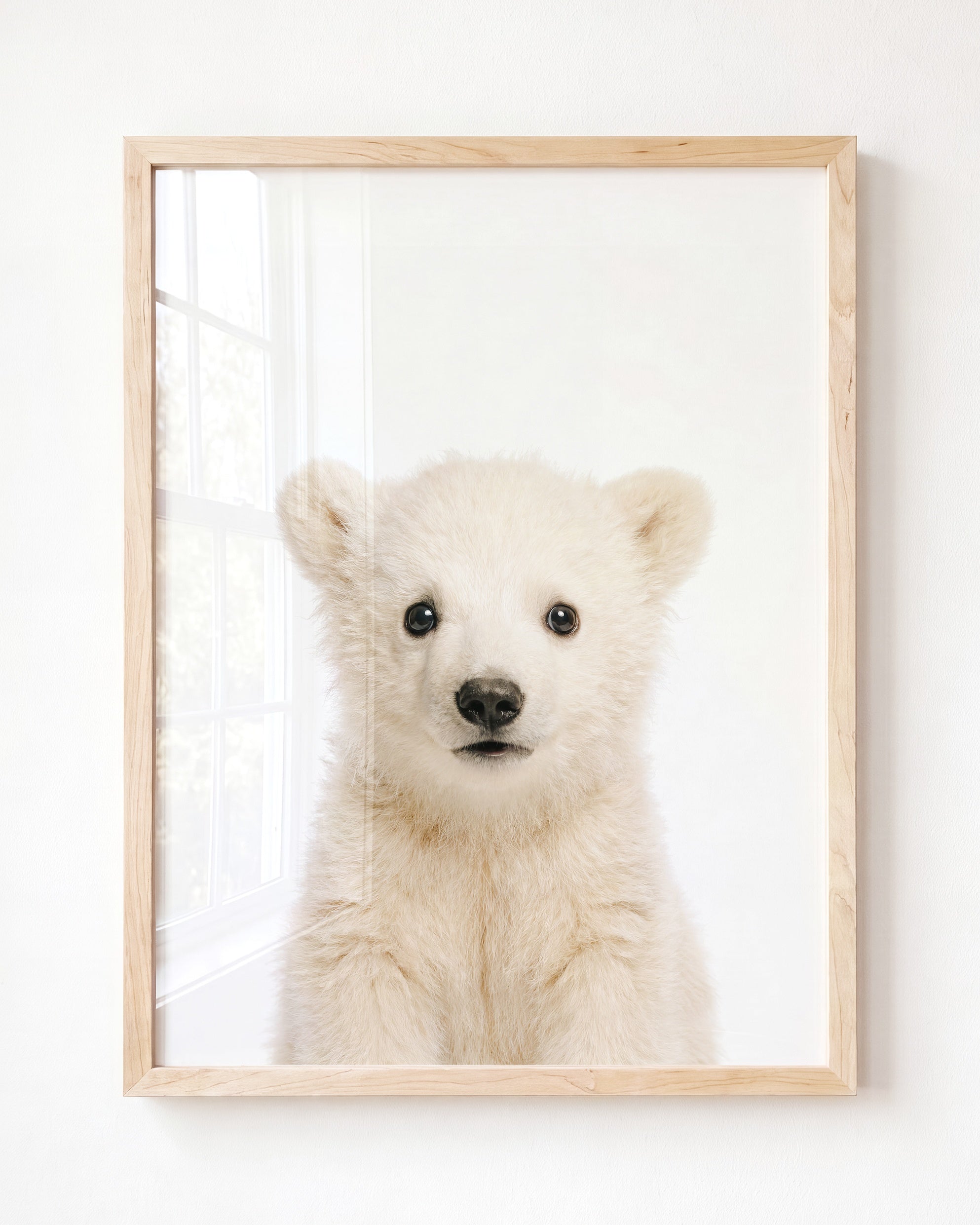Baby Polar Bear