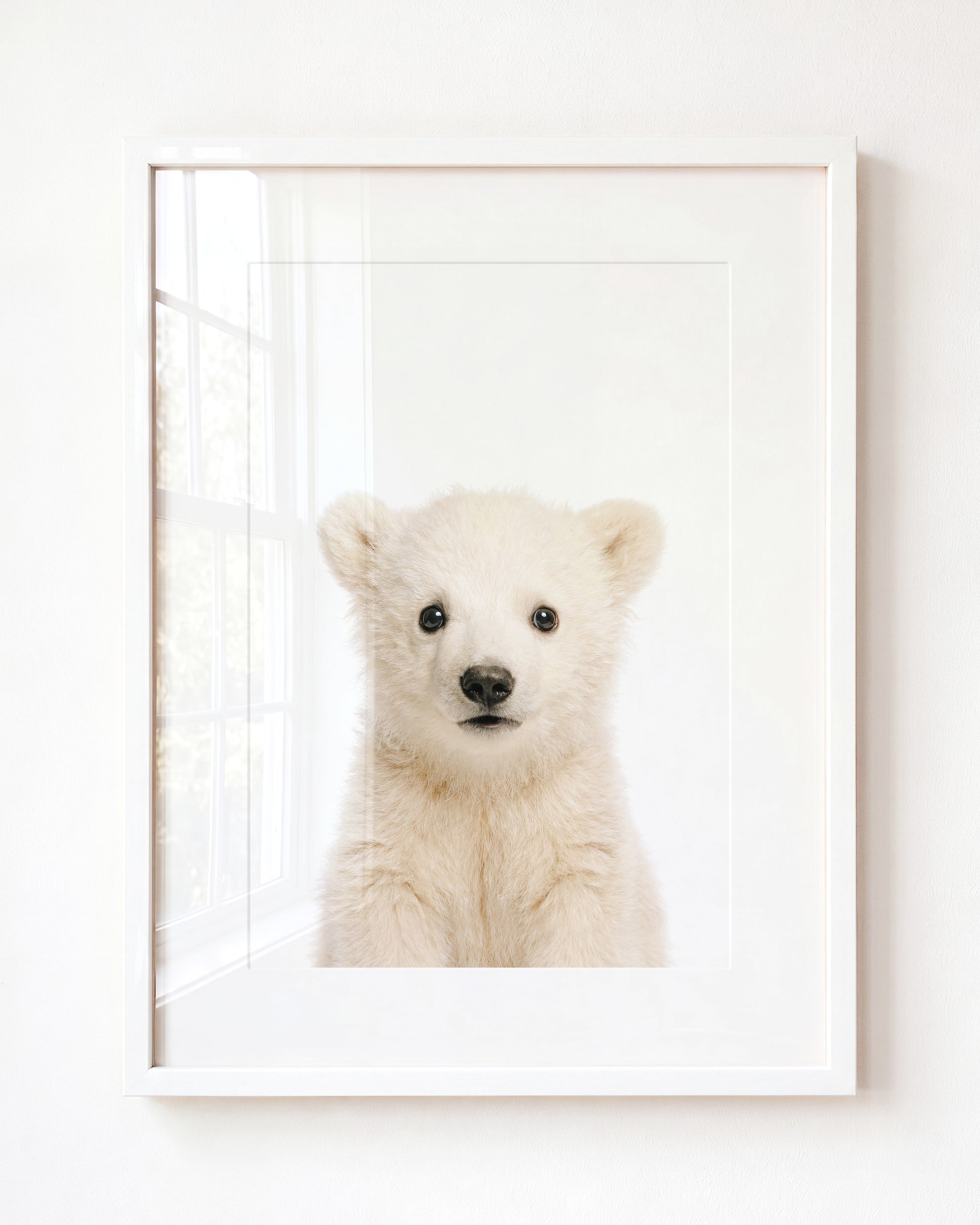 Baby Polar Bear