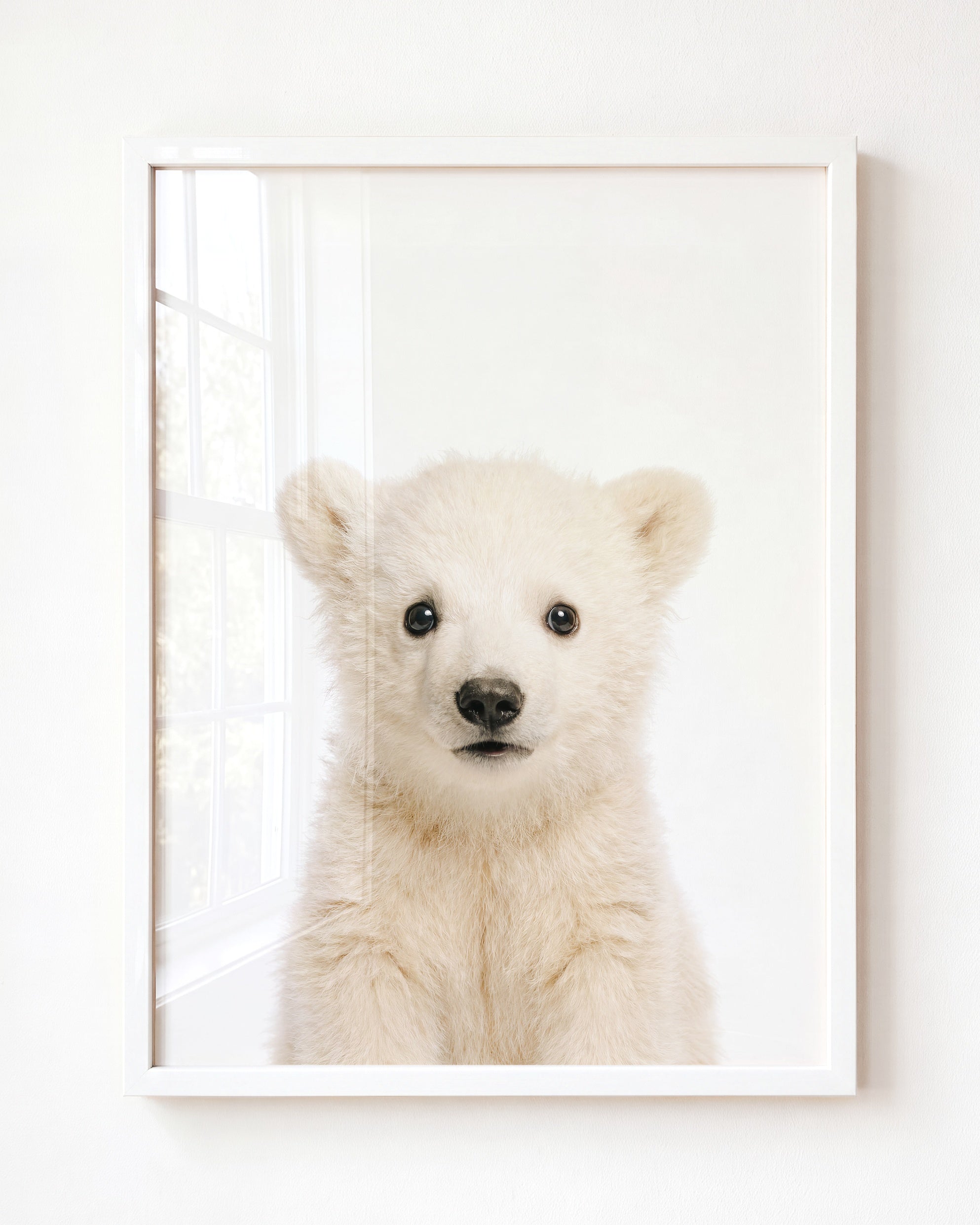 Baby Polar Bear