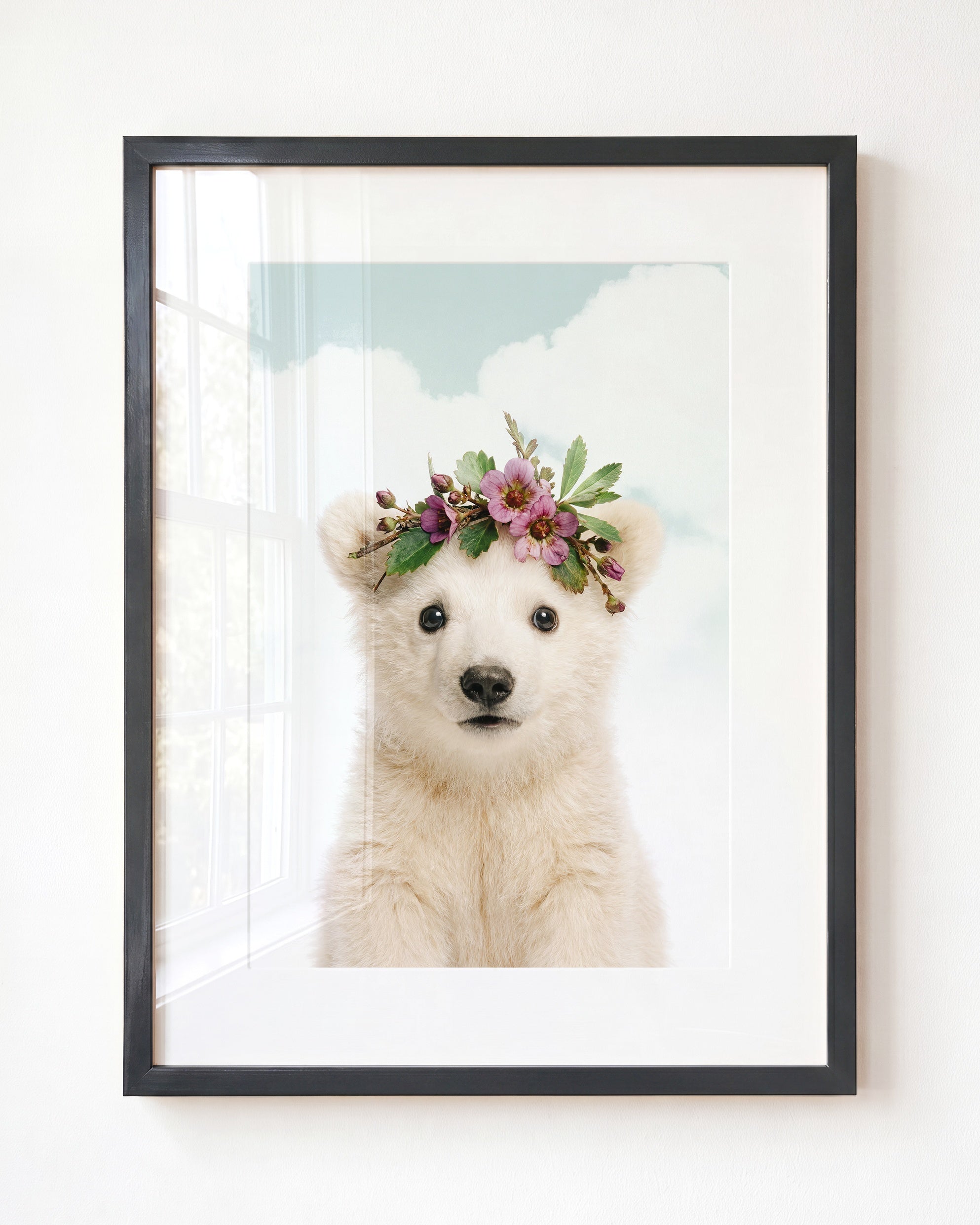 Baby Polar Bear