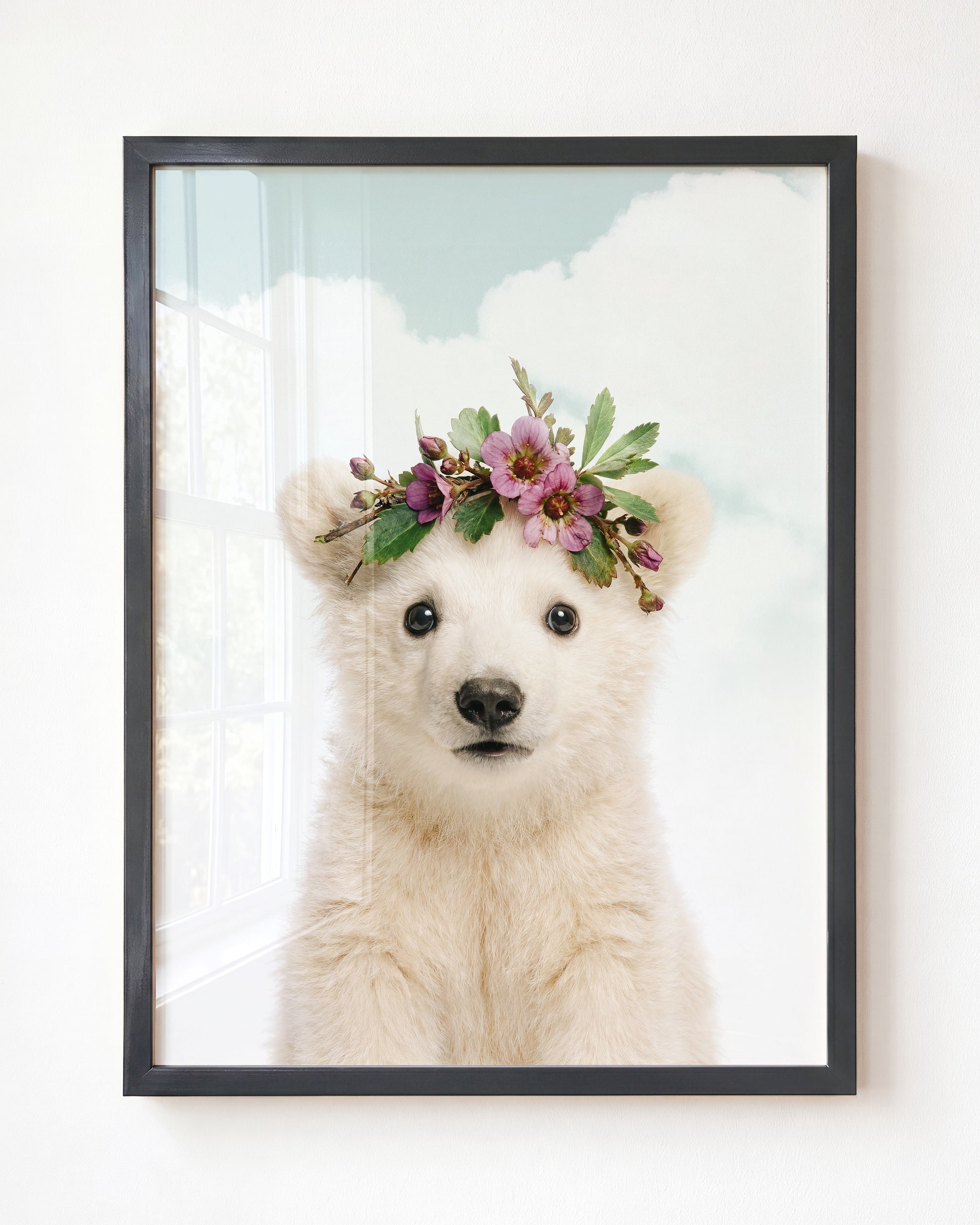 Baby Polar Bear