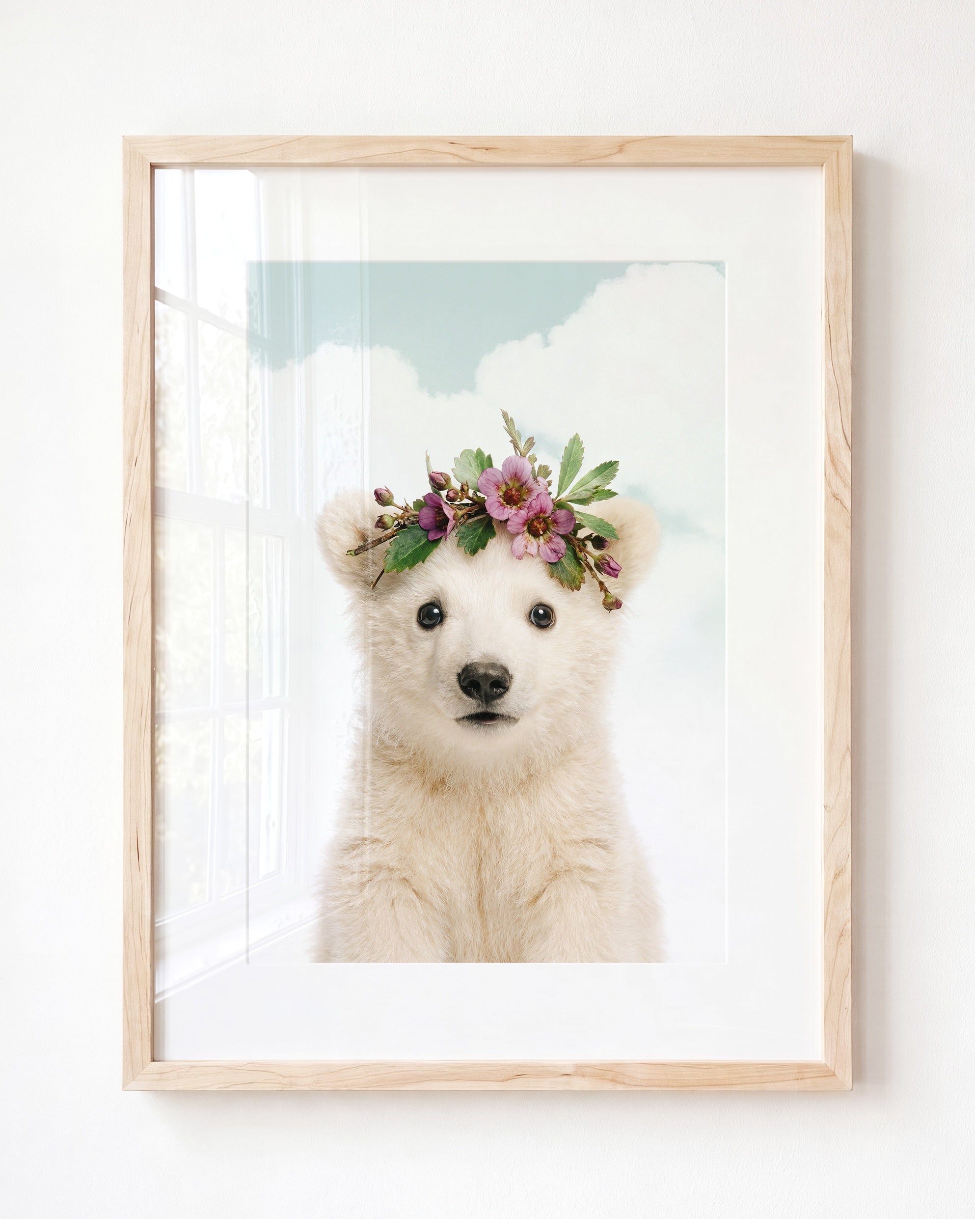 Baby Polar Bear
