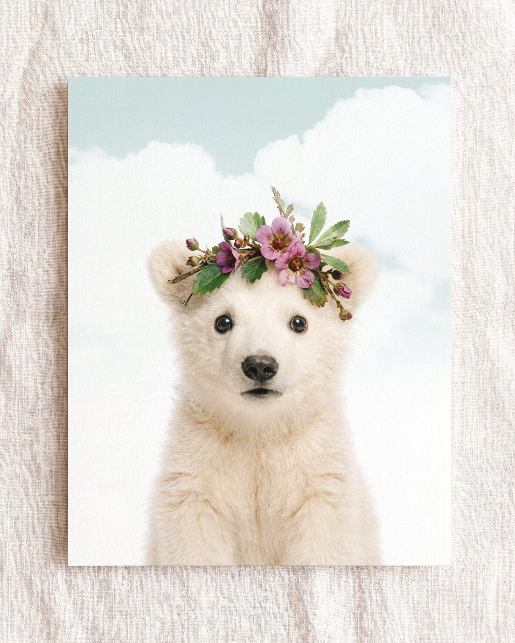 Baby Polar Bear