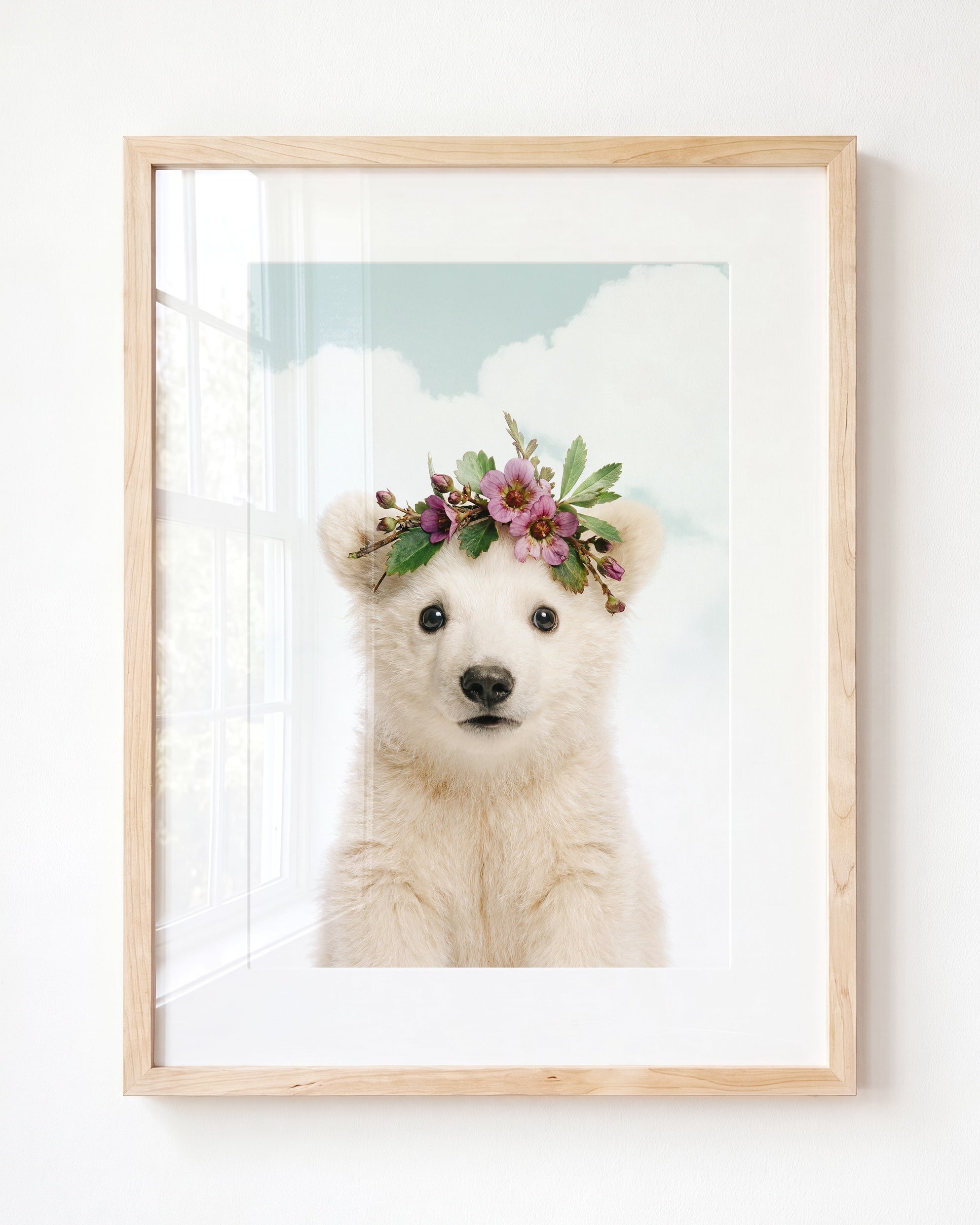 Baby Polar Bear