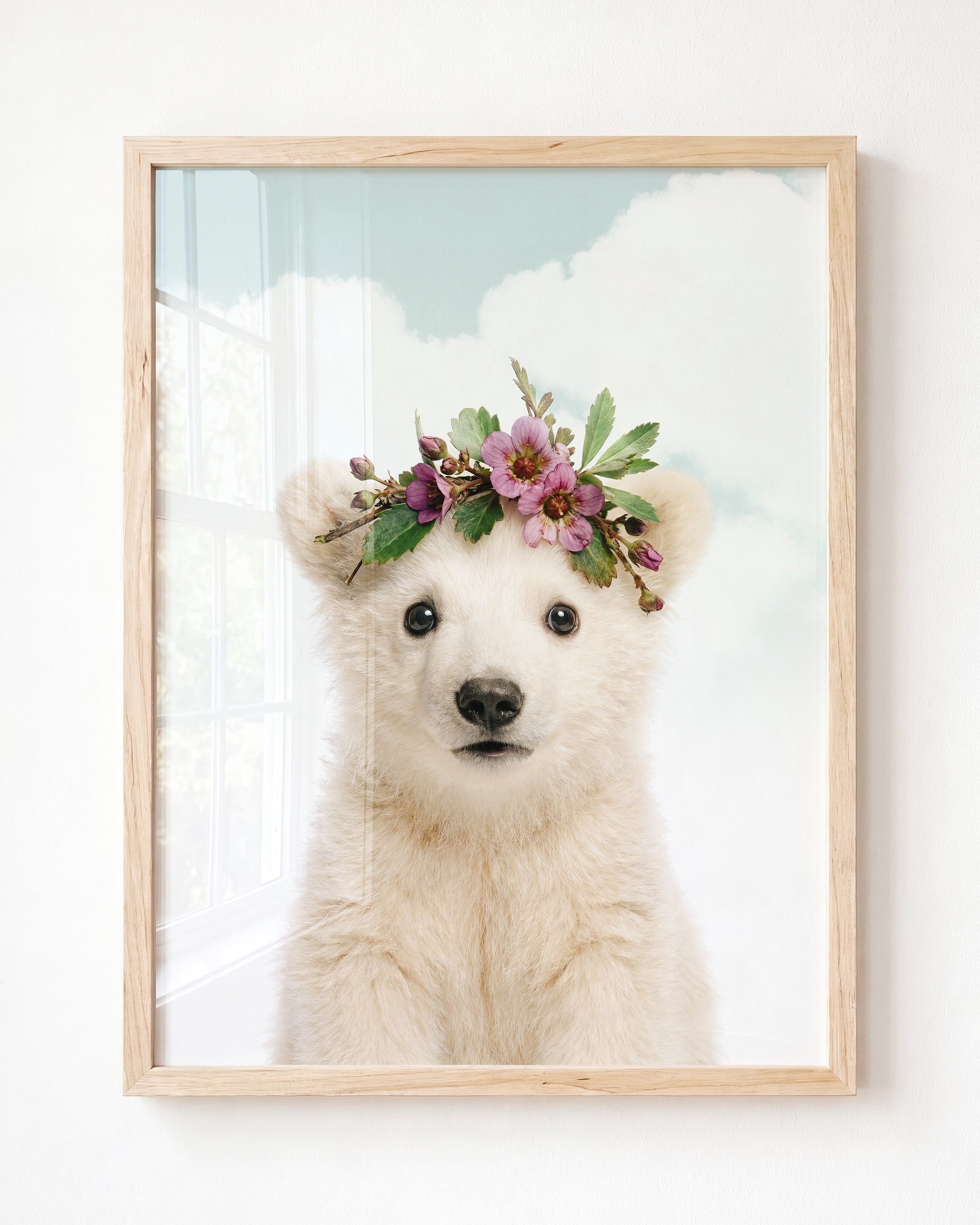 Baby Polar Bear