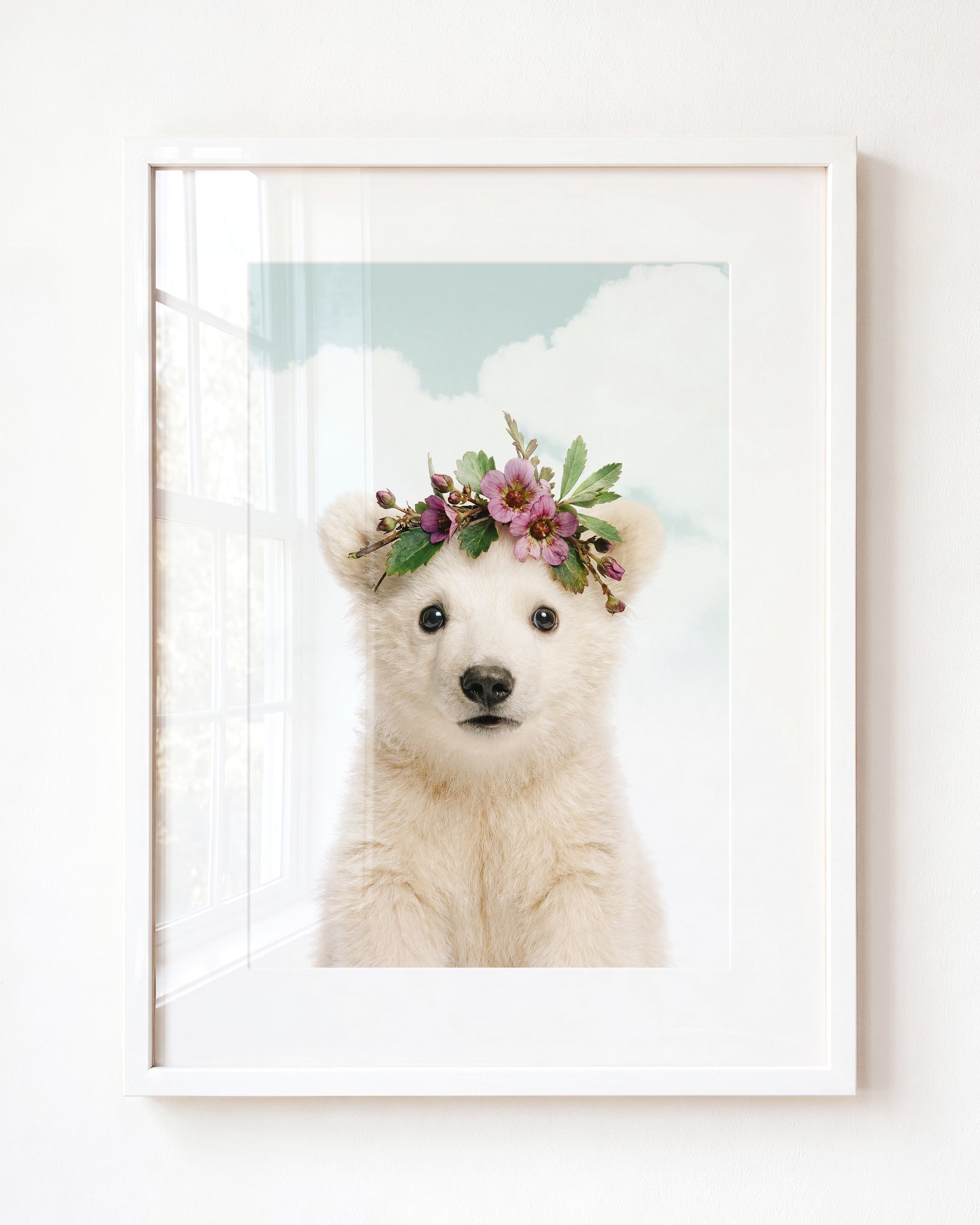 Baby Polar Bear