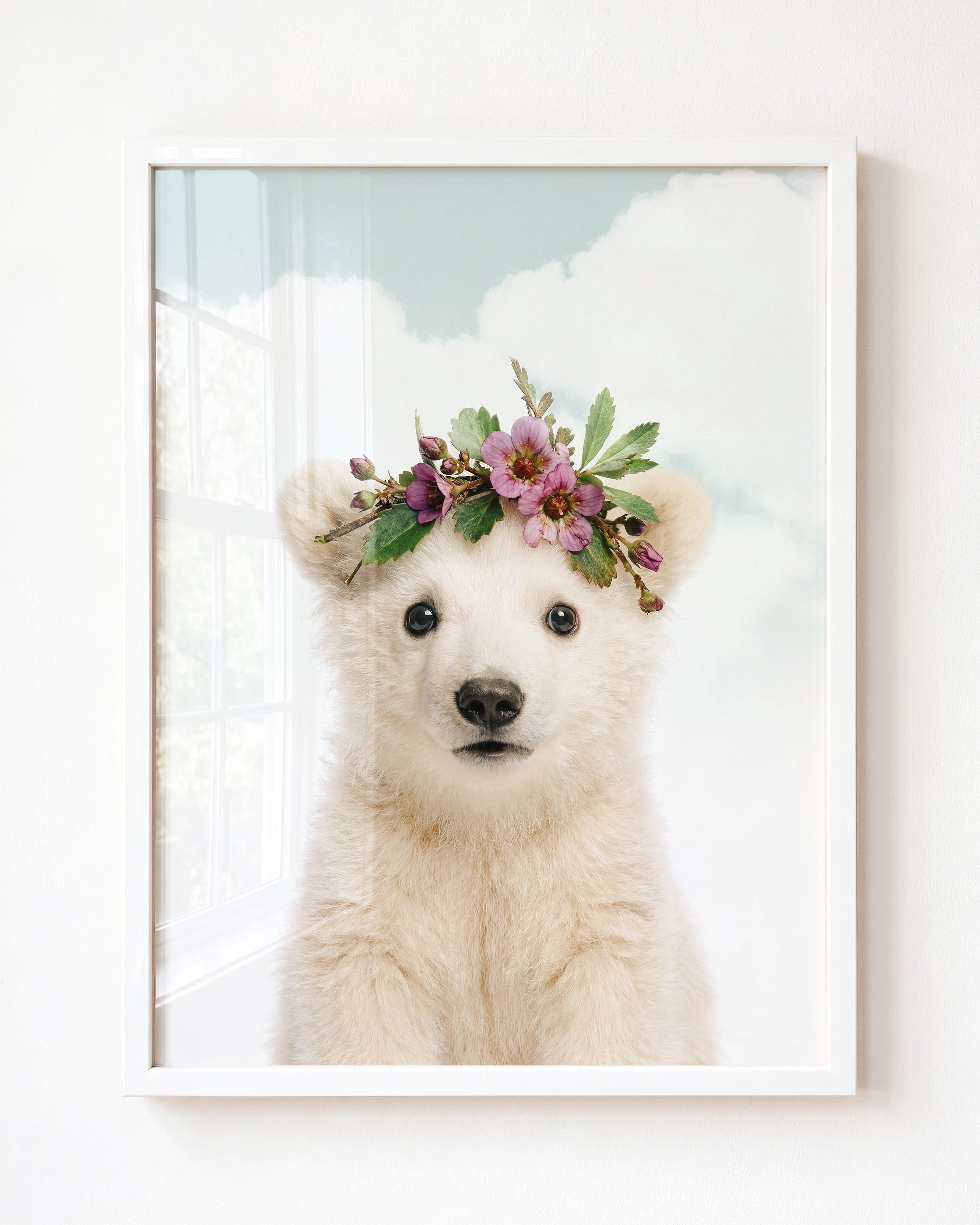 Baby Polar Bear