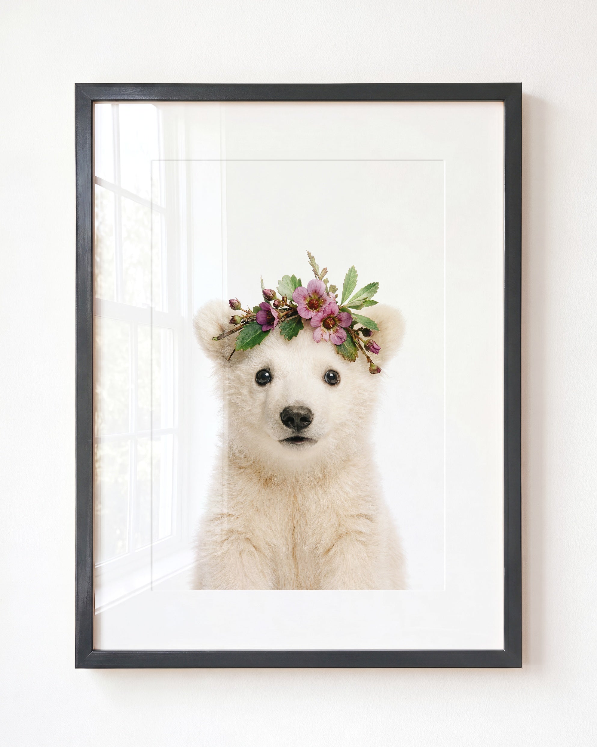 Baby Polar Bear