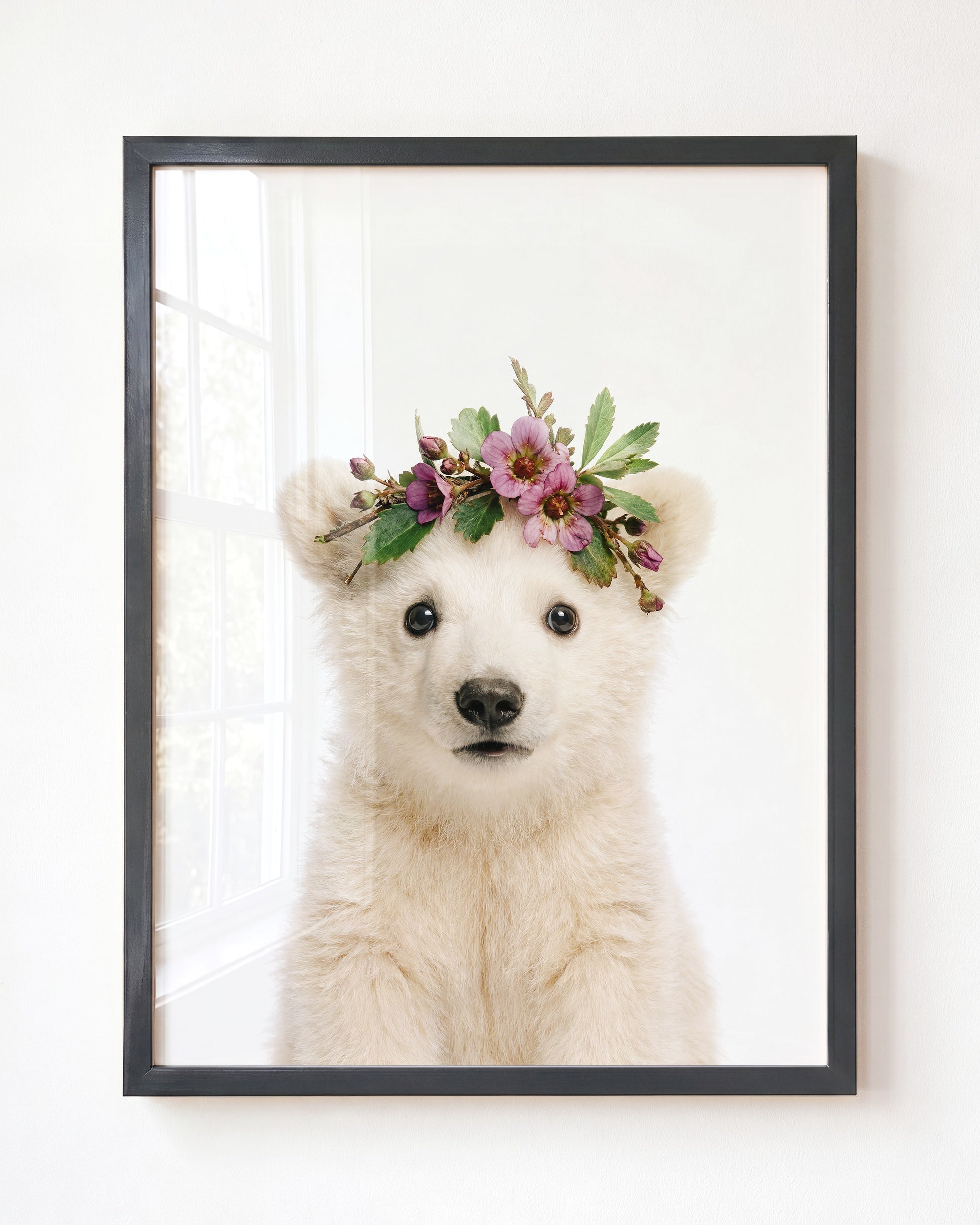 Baby Polar Bear