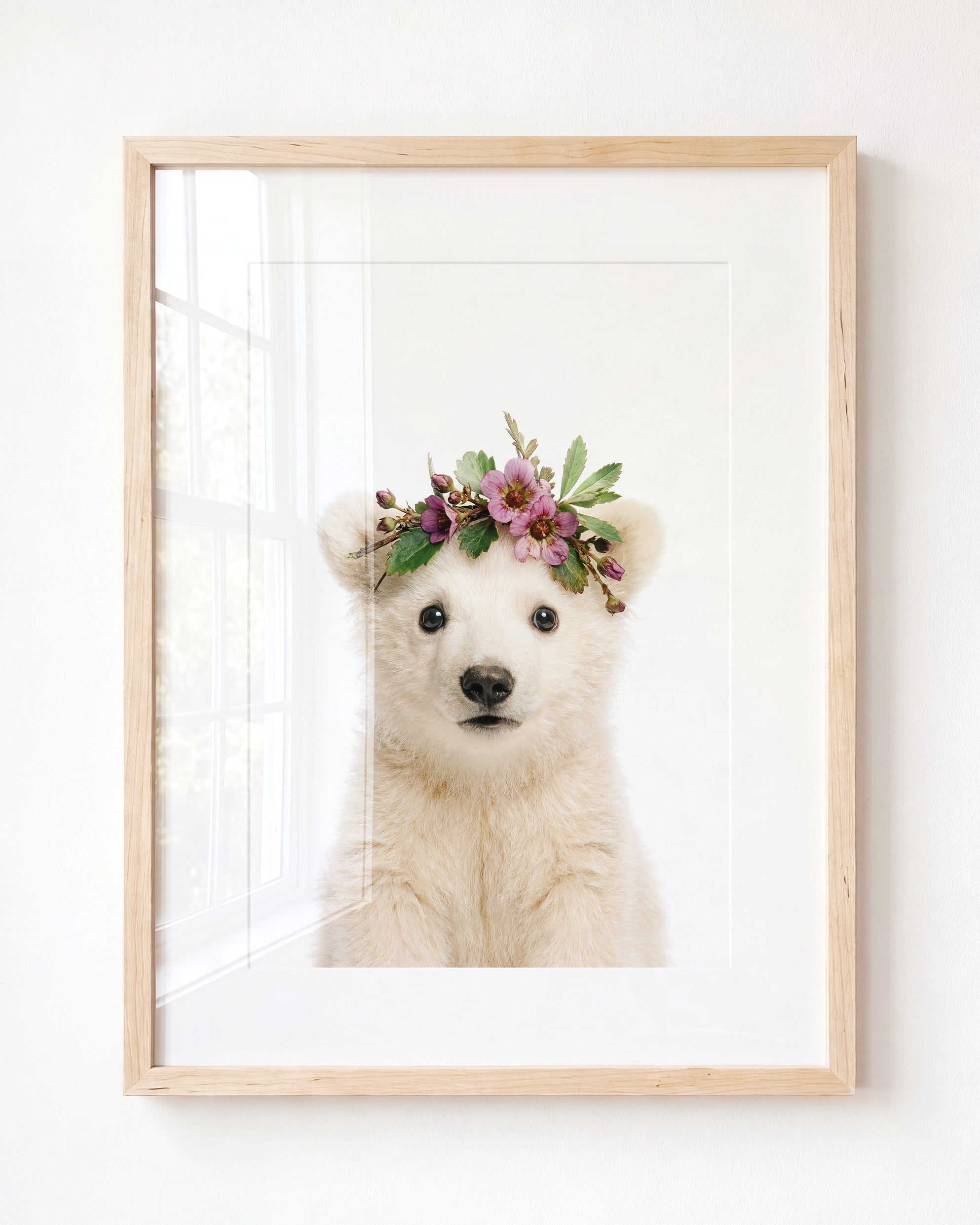 Baby Polar Bear