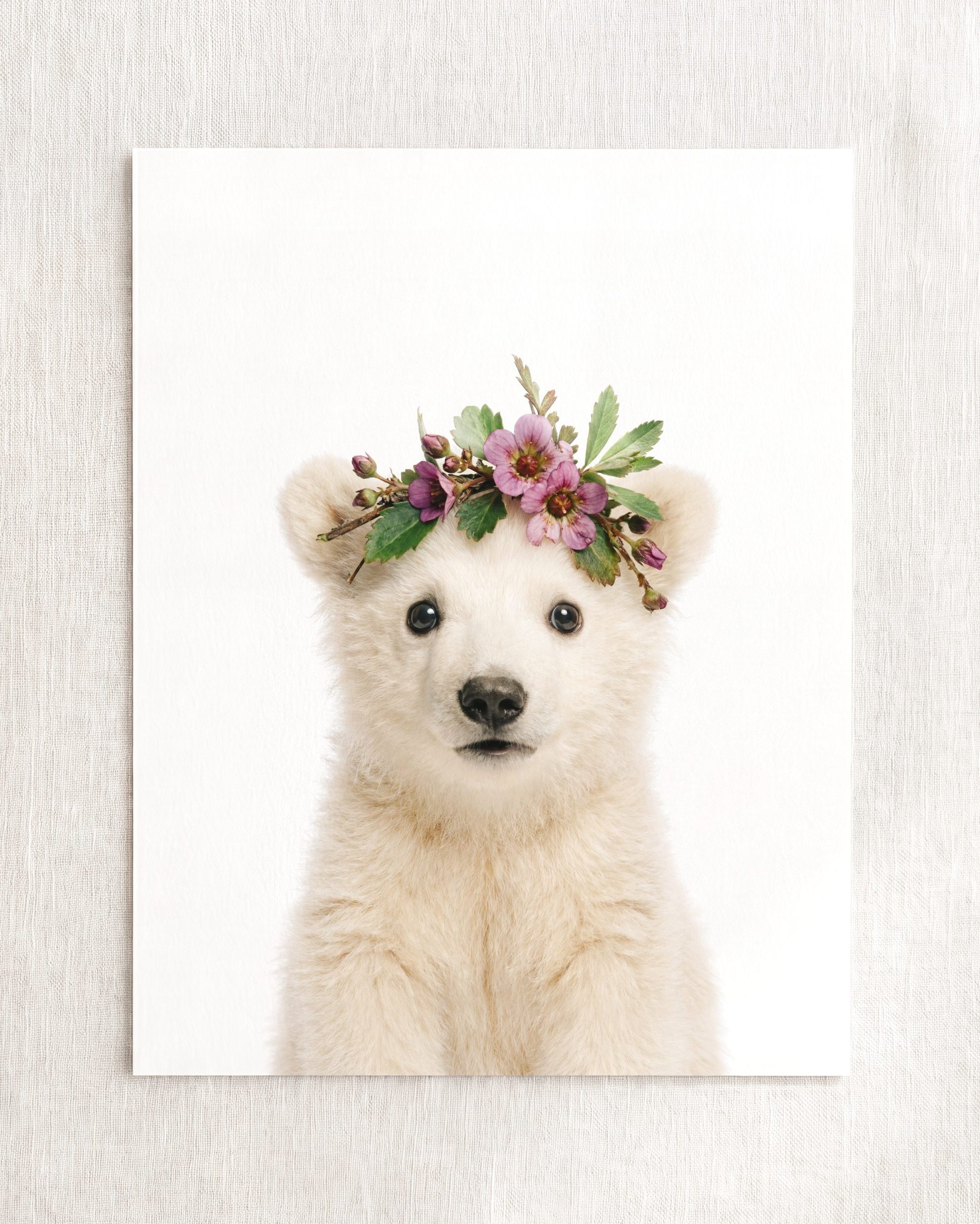 Baby Polar Bear