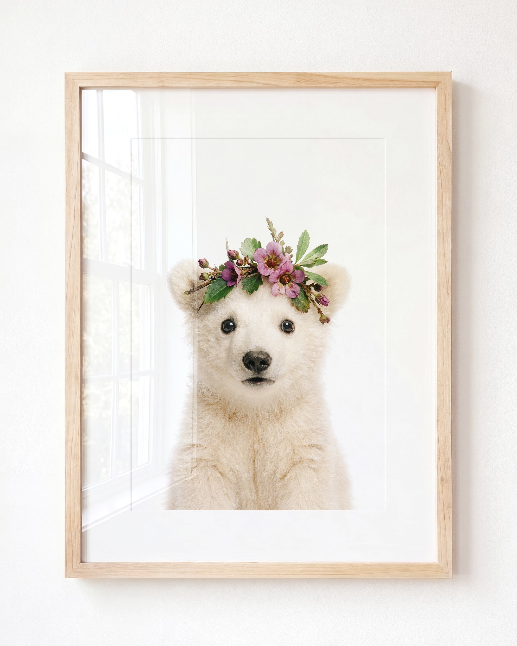 Baby Polar Bear