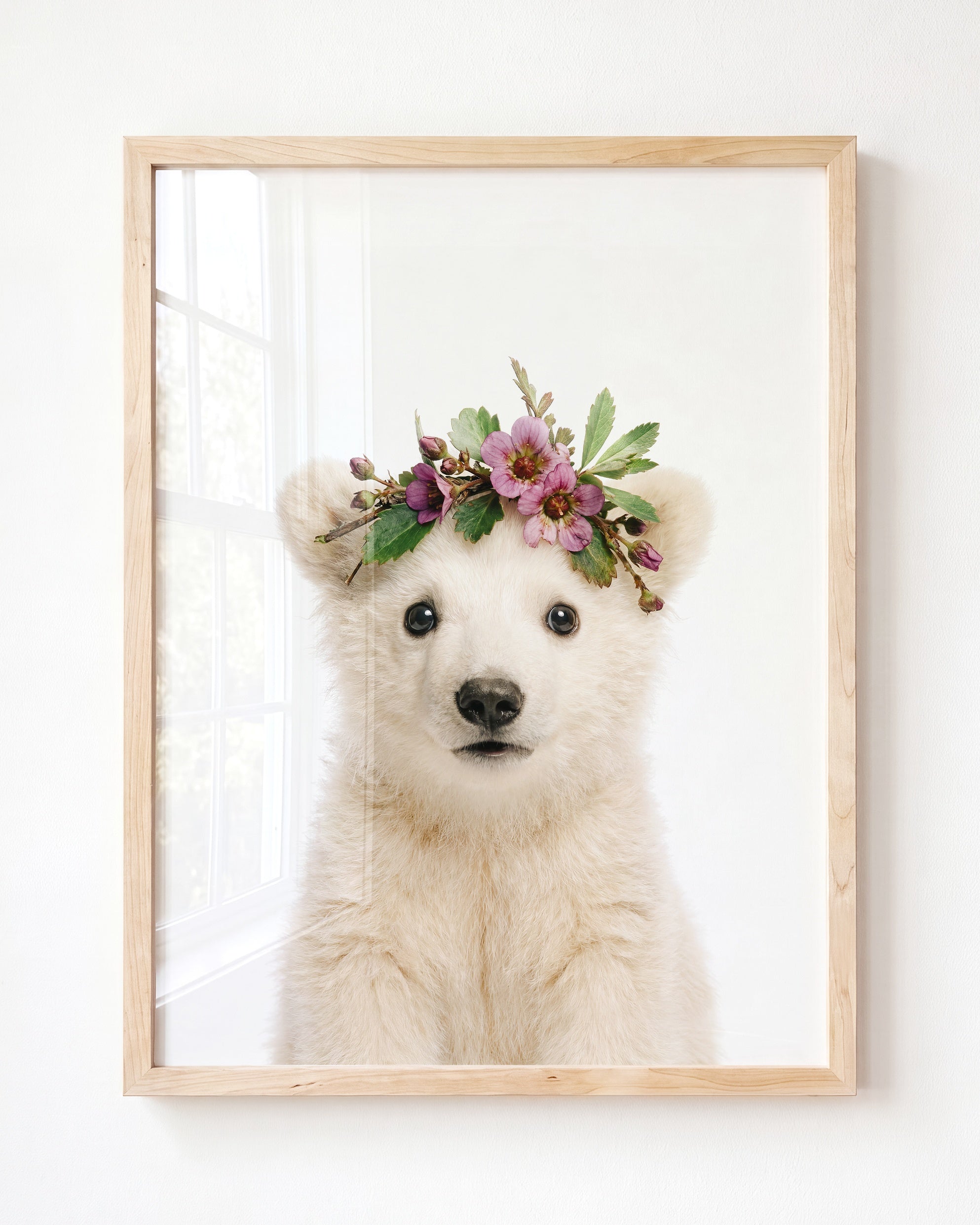 Baby Polar Bear