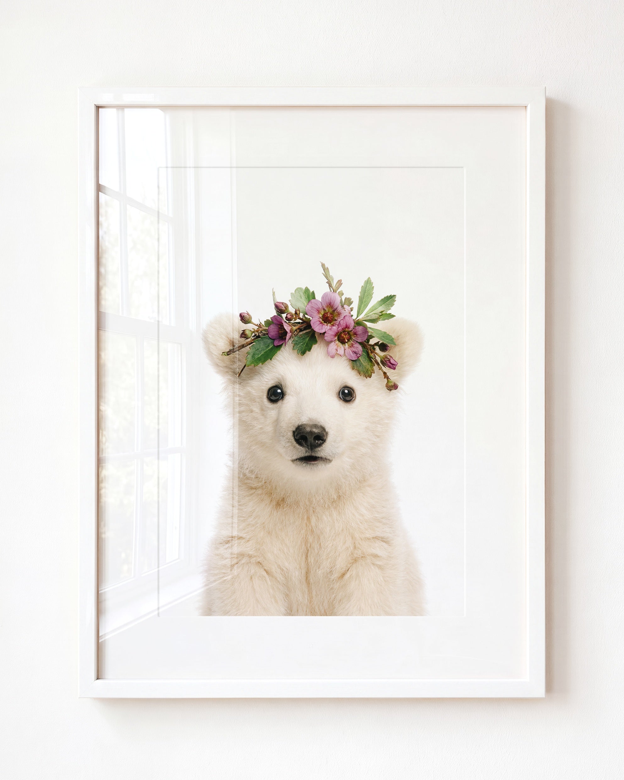 Baby Polar Bear