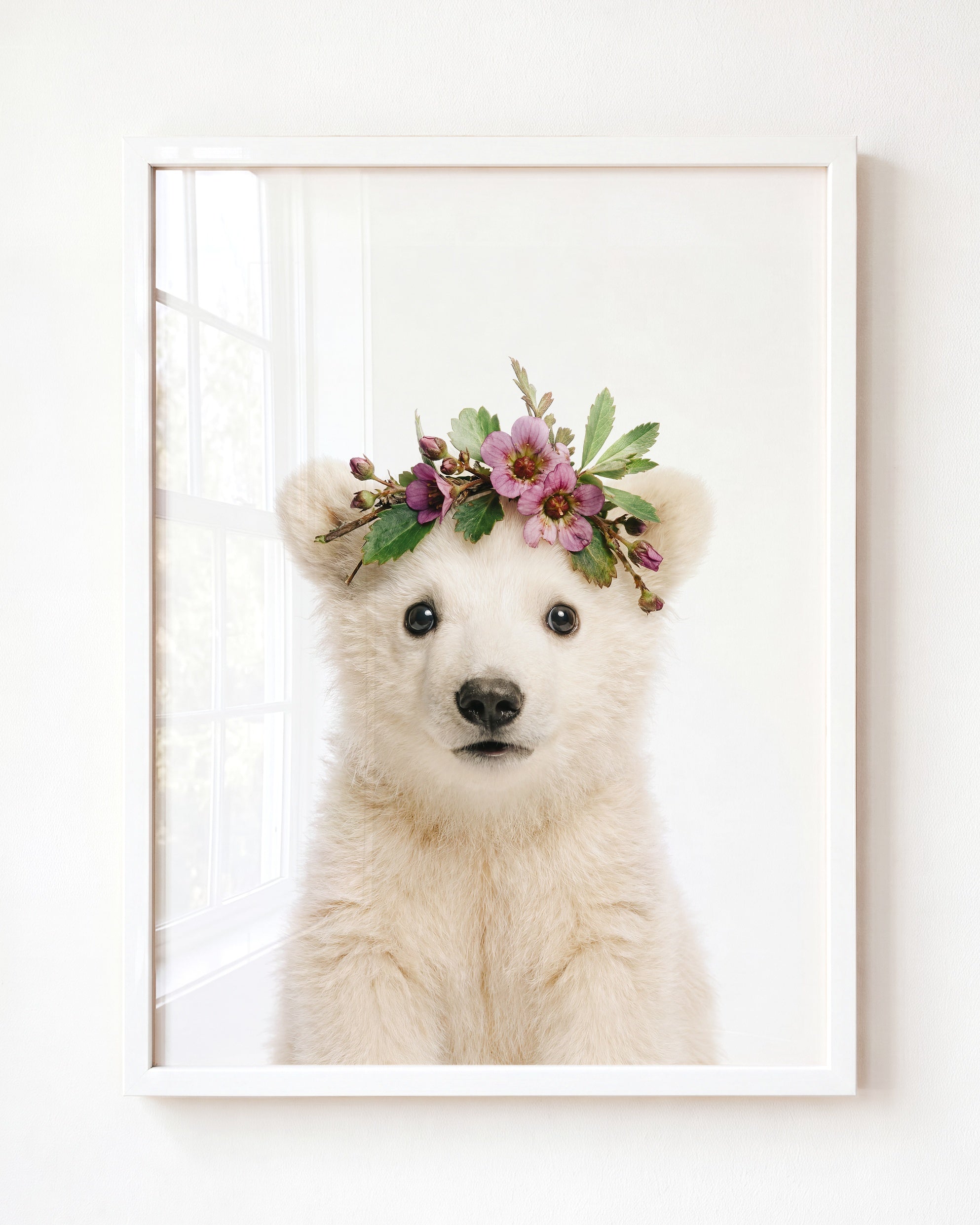 Baby Polar Bear