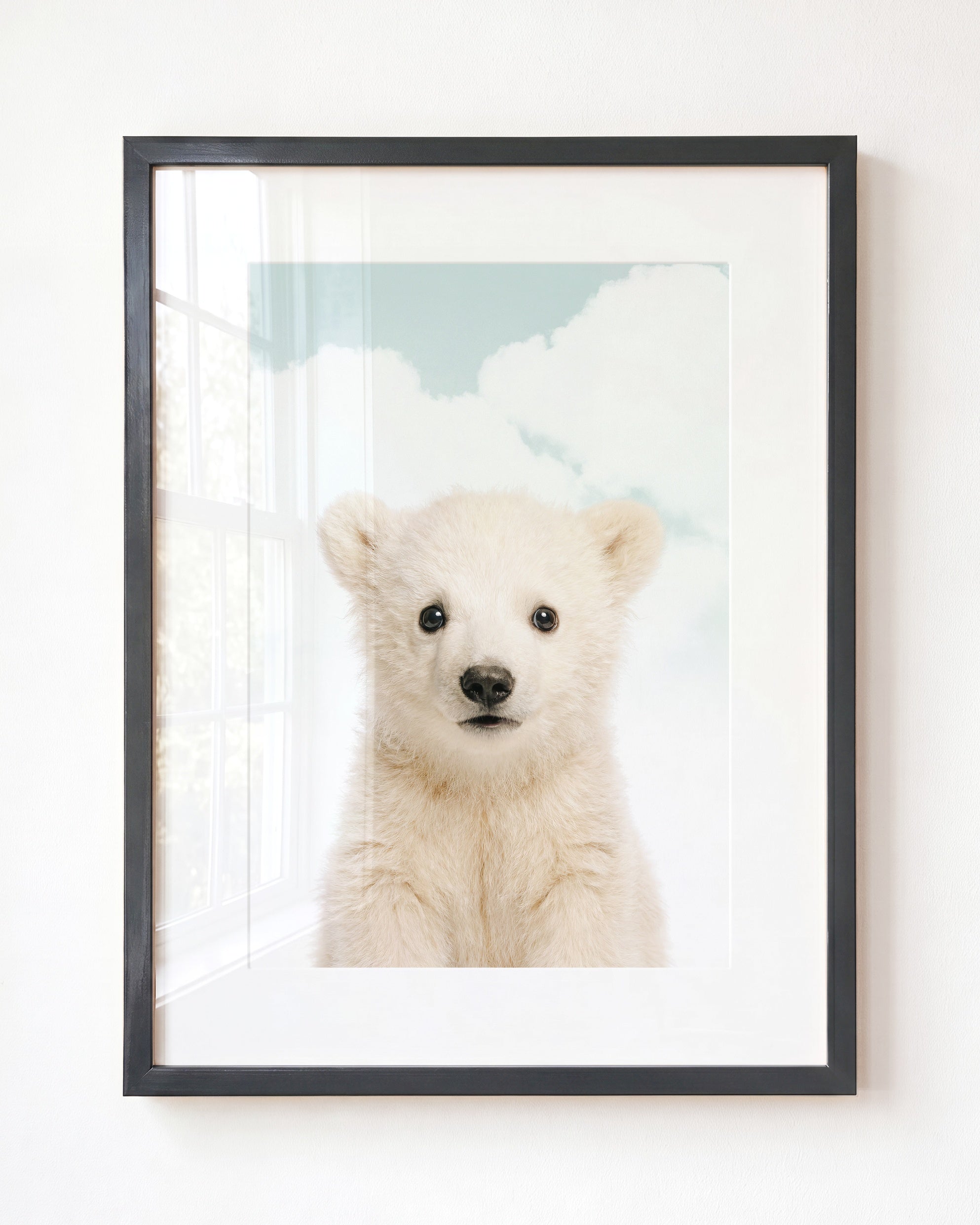 Baby Polar Bear