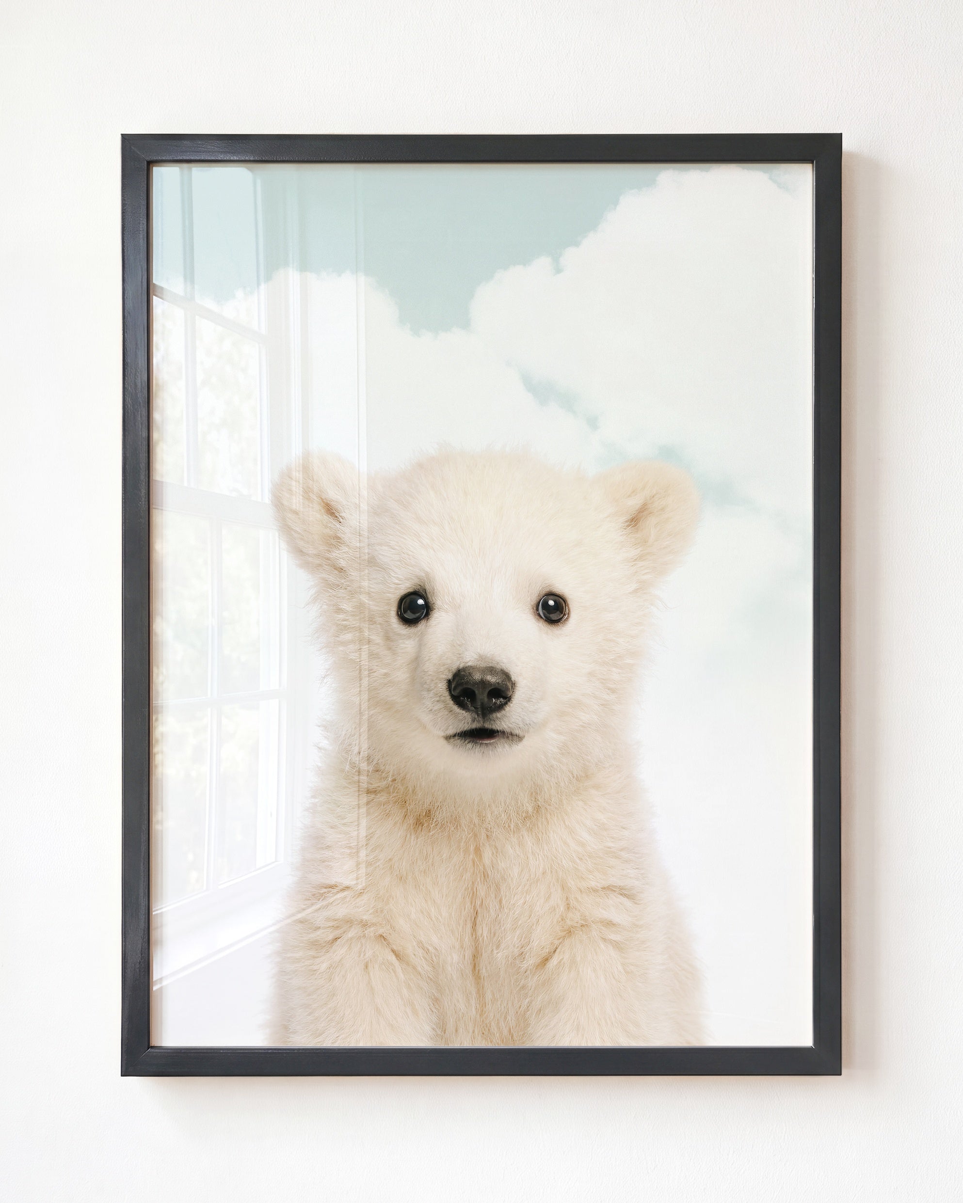Baby Polar Bear