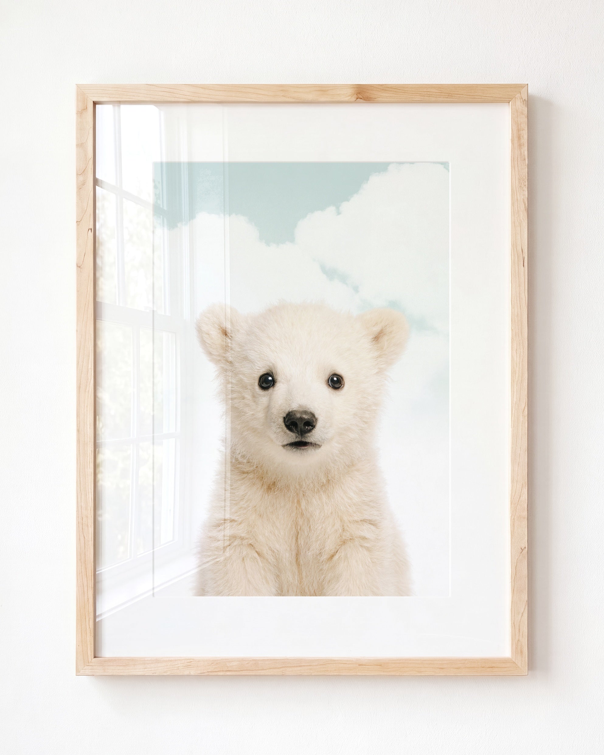 Baby Polar Bear