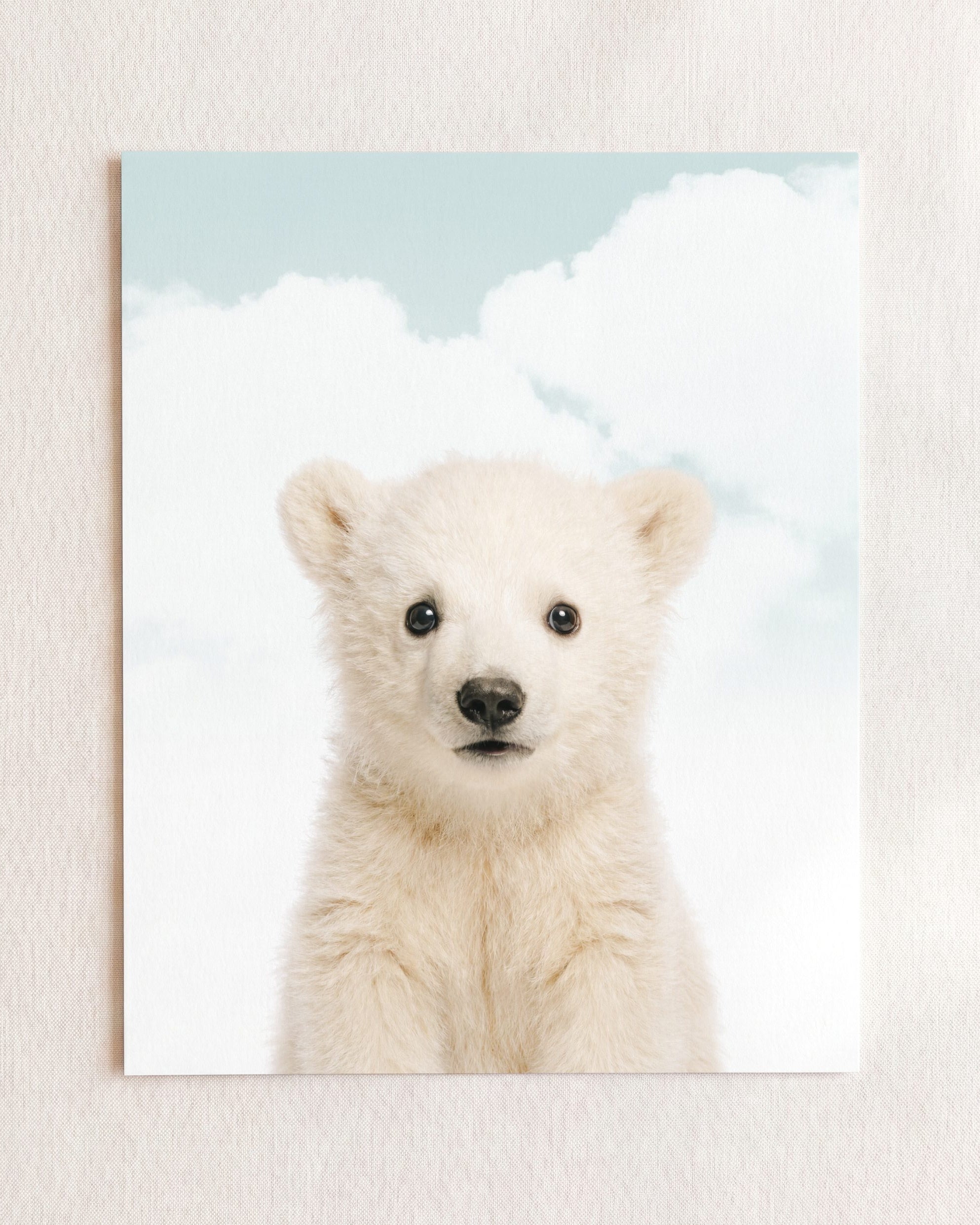 Baby Polar Bear
