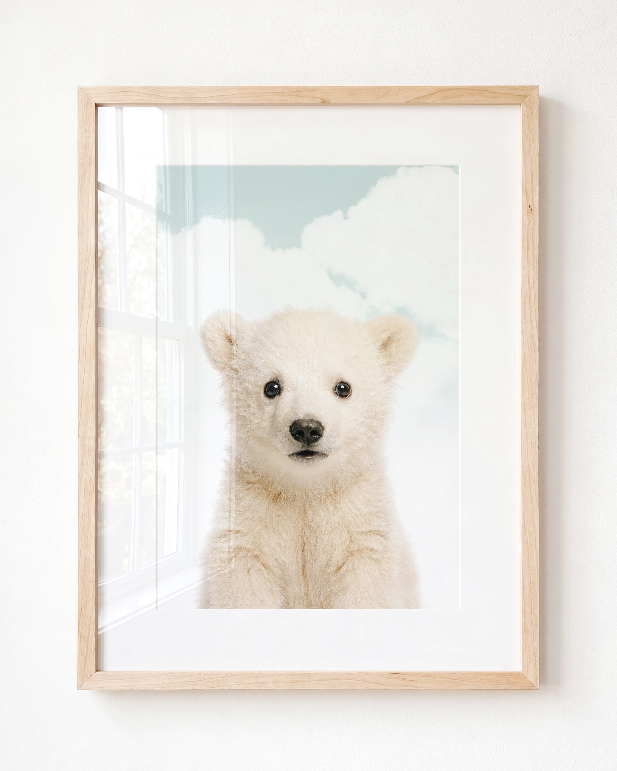 Baby Polar Bear