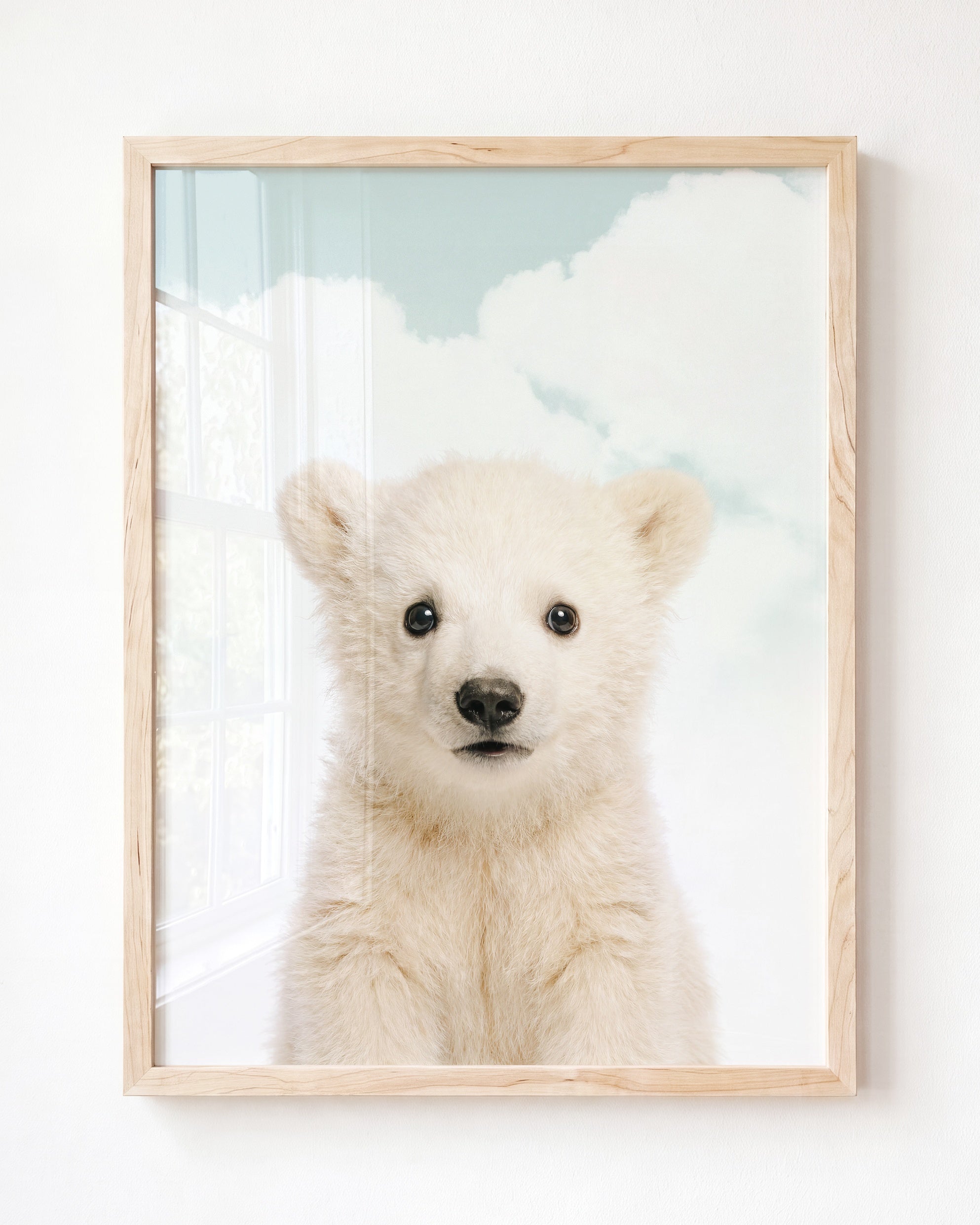 Baby Polar Bear