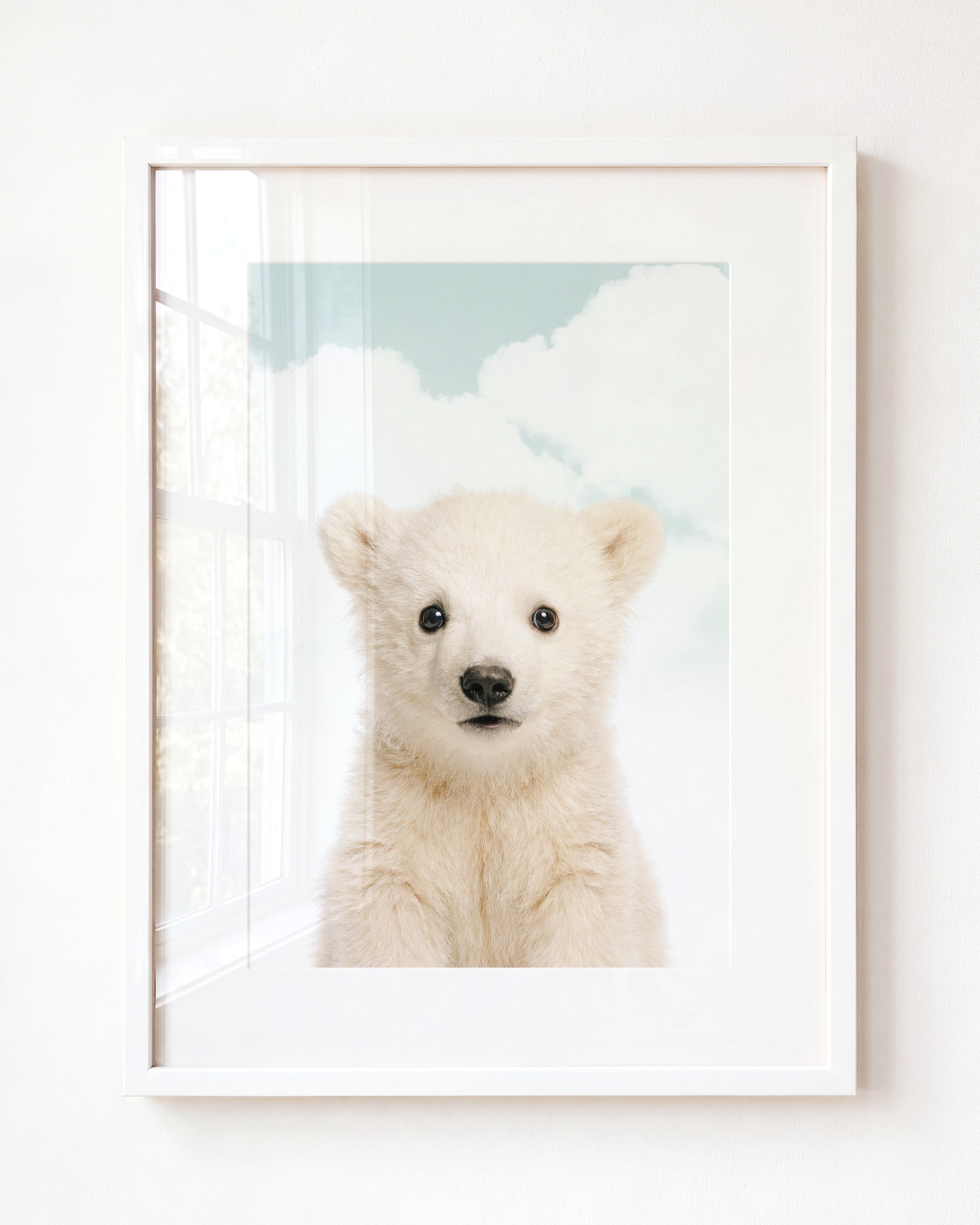Baby Polar Bear
