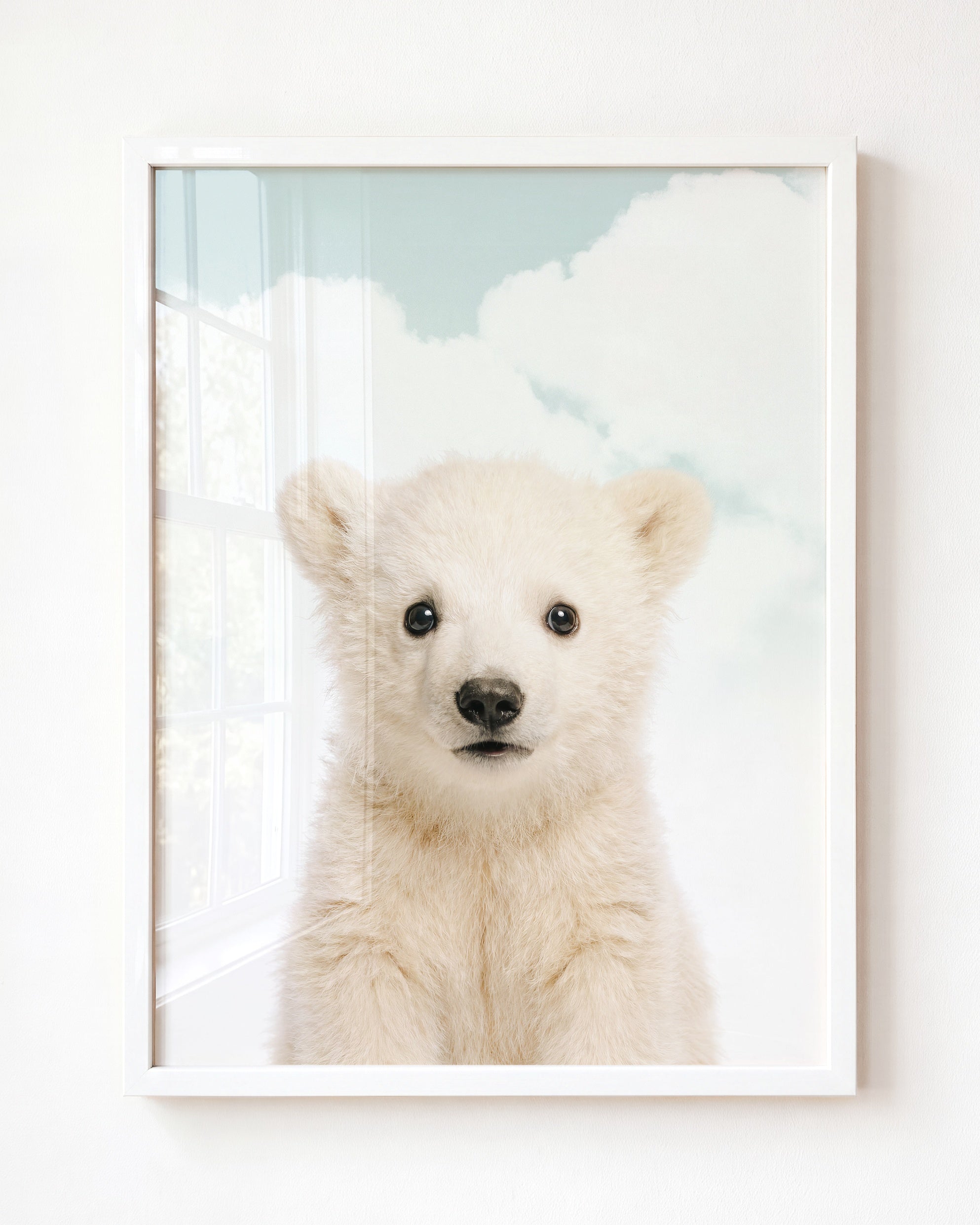 Baby Polar Bear