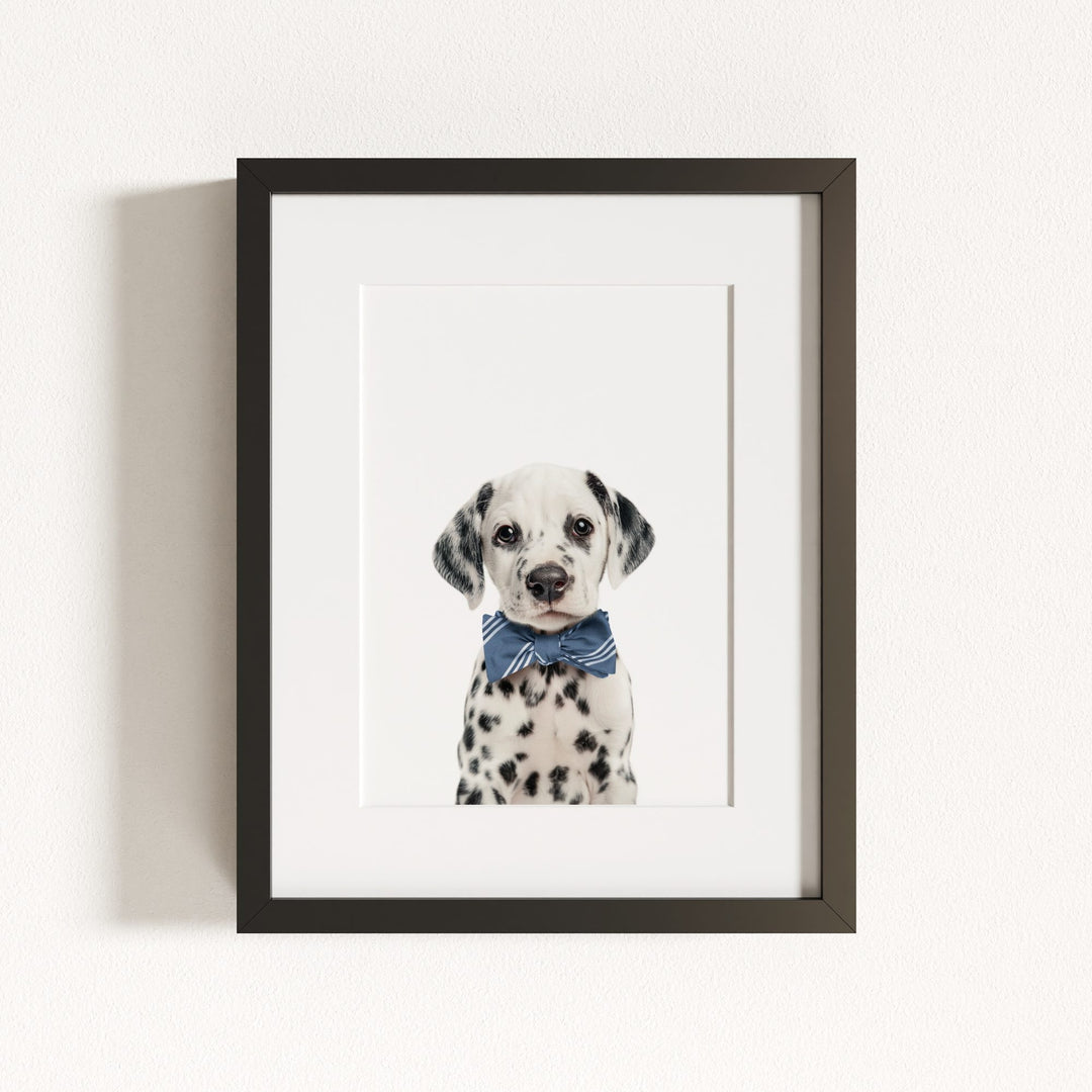 Baby Puppy Dalmatian