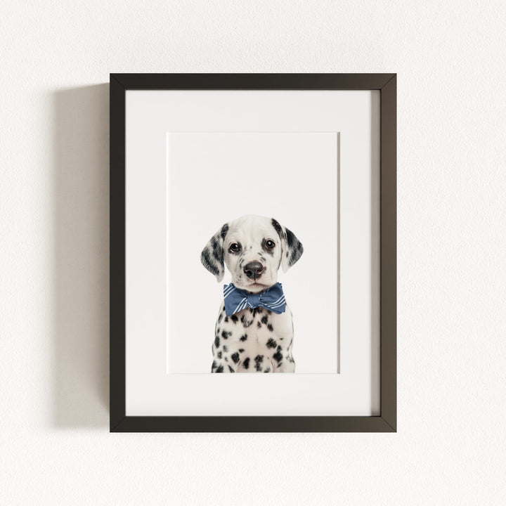 Baby Puppy Dalmatian