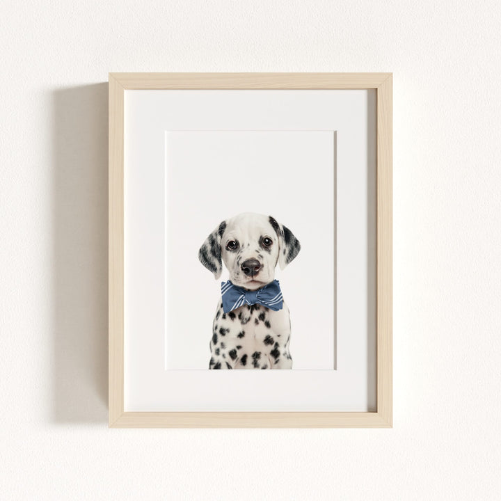 Baby Puppy Dalmatian