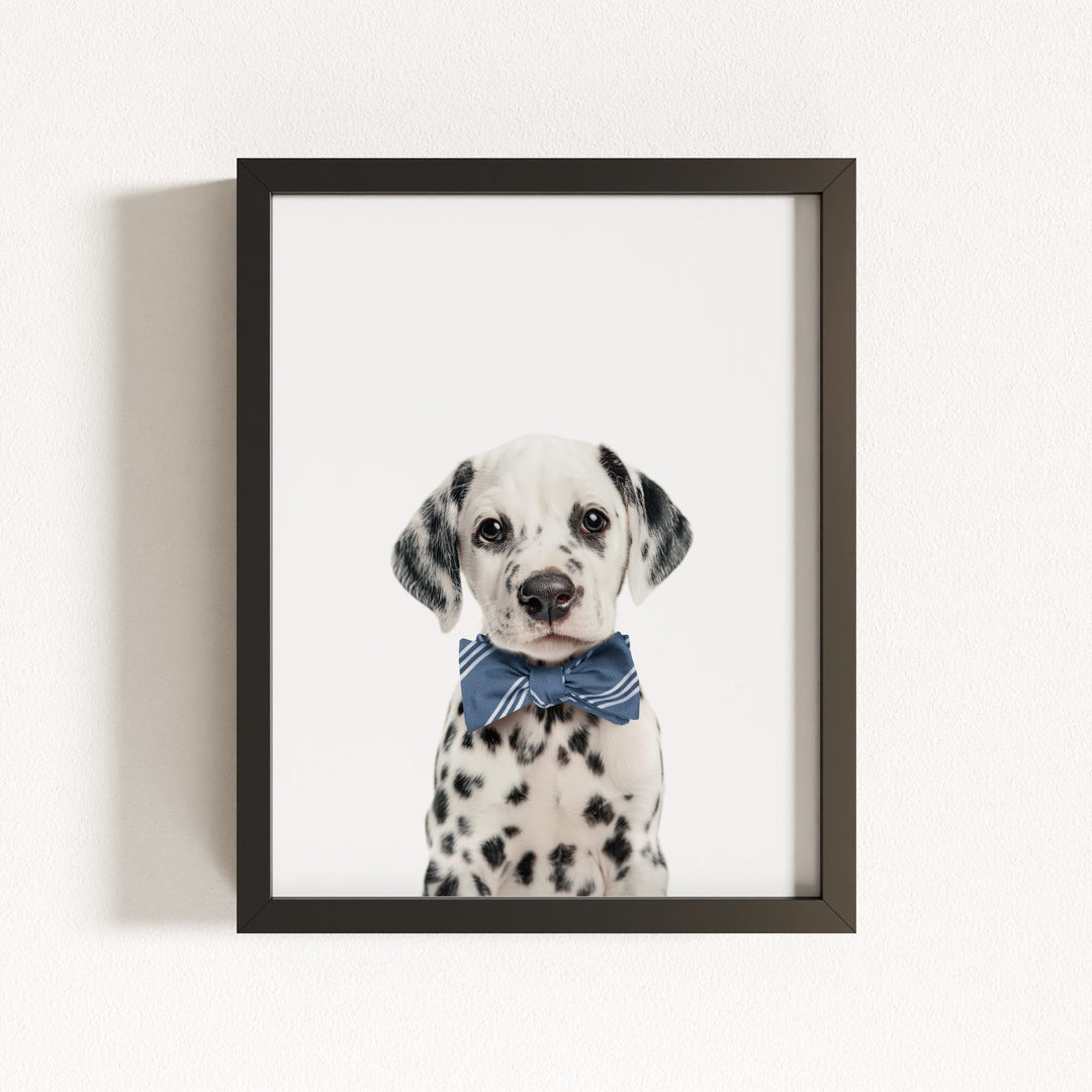 Baby Puppy Dalmatian