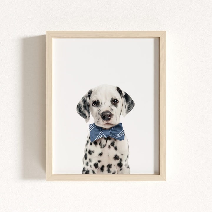 Baby Puppy Dalmatian