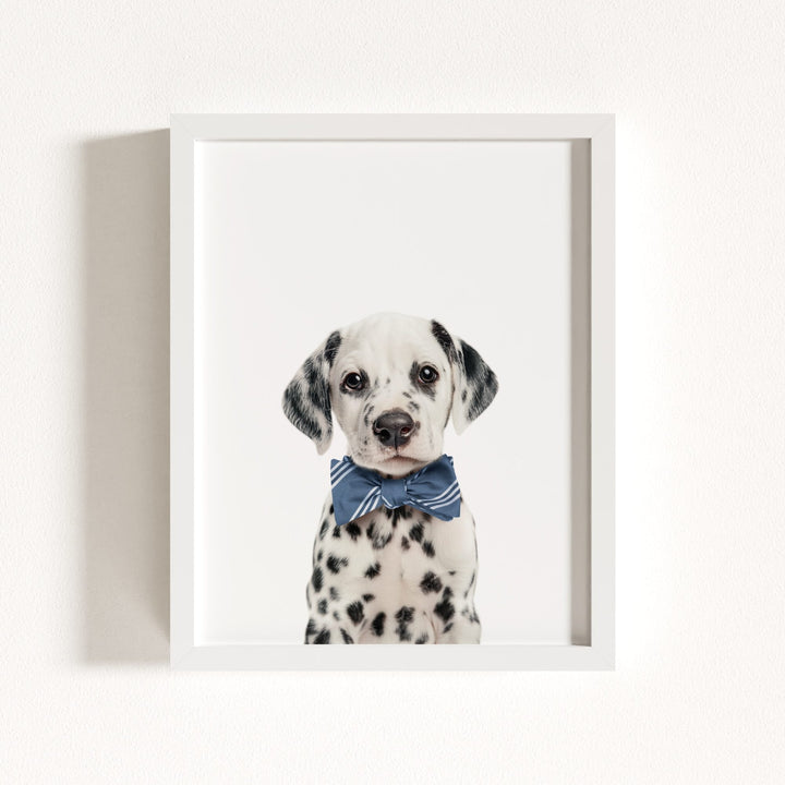 Baby Puppy Dalmatian