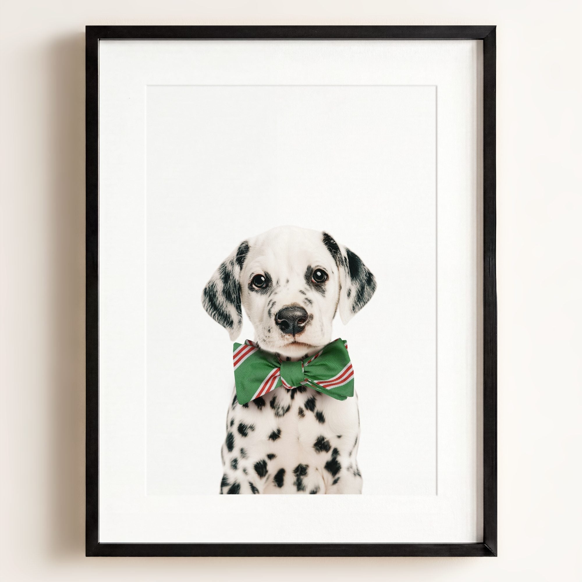 Baby Puppy Dalmatian