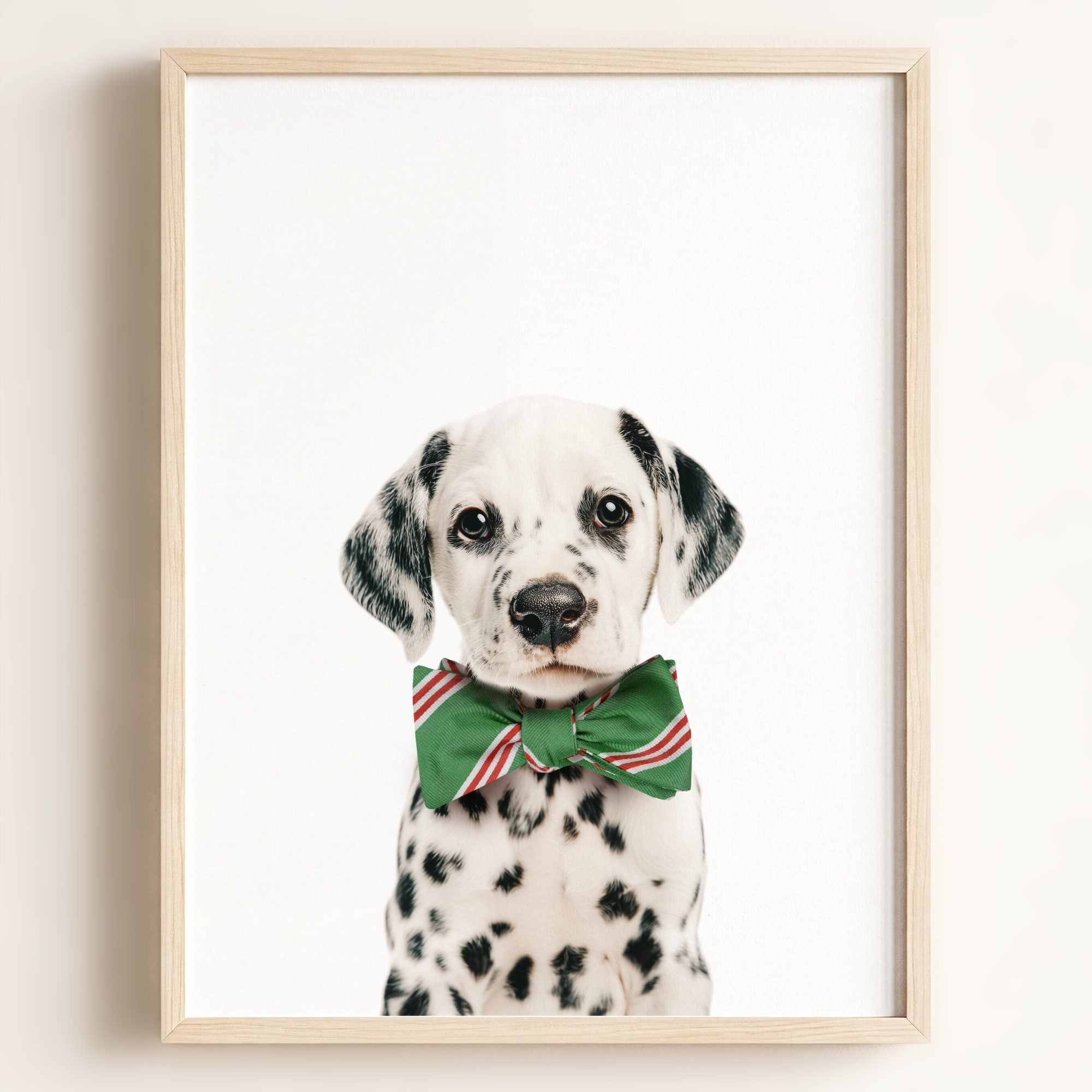 Baby Puppy Dalmatian