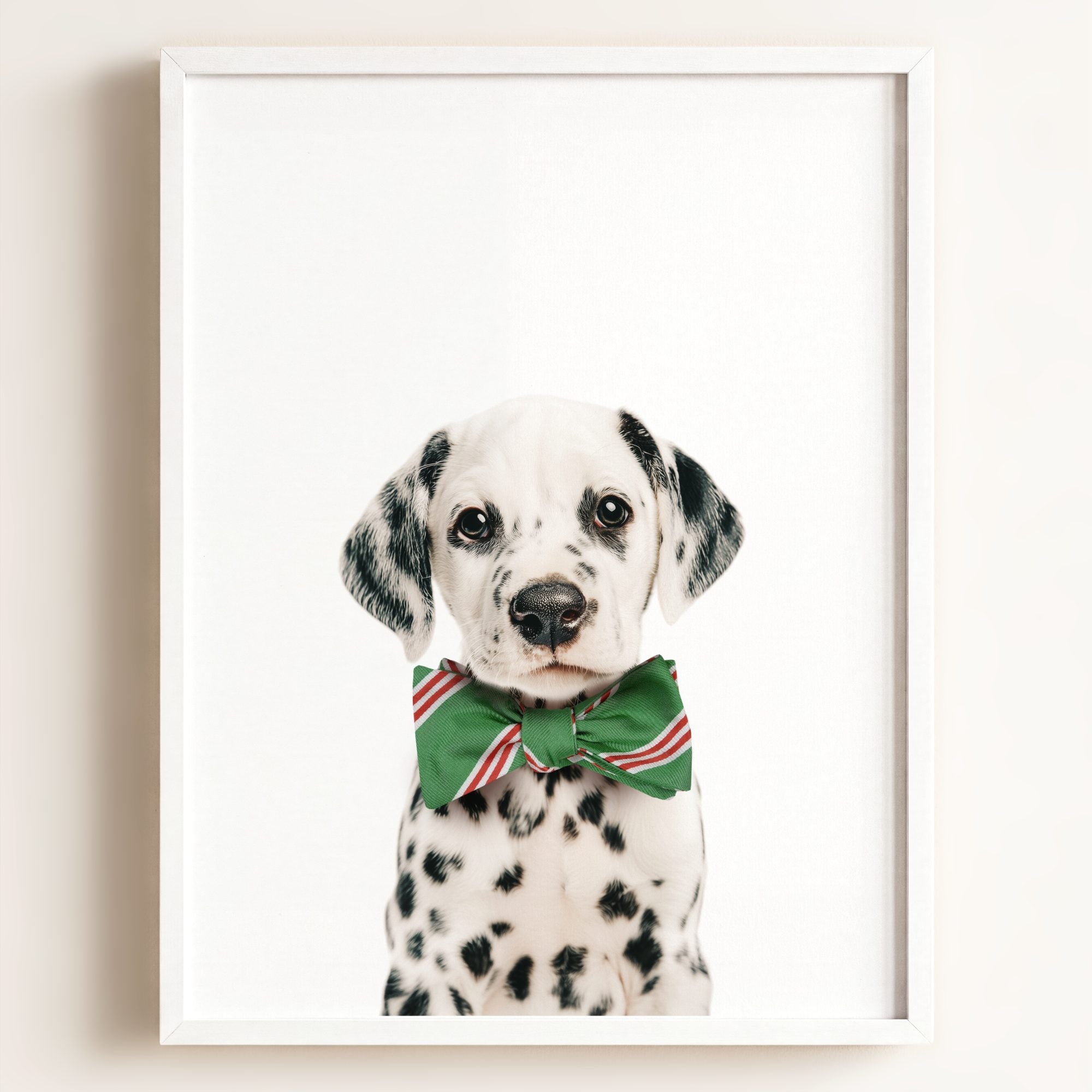 Baby Puppy Dalmatian