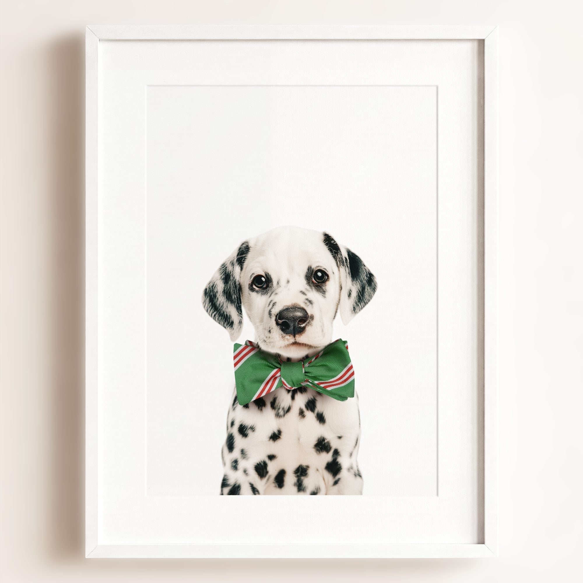 Baby Puppy Dalmatian