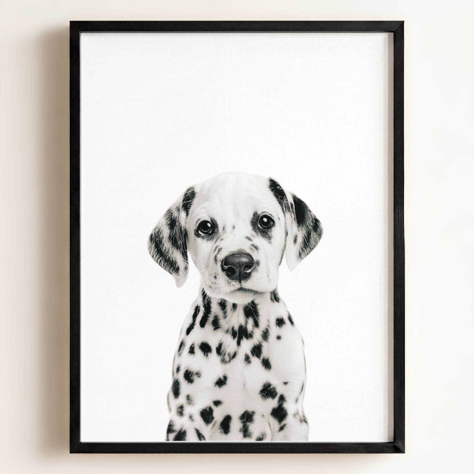 Baby Puppy Dalmatian
