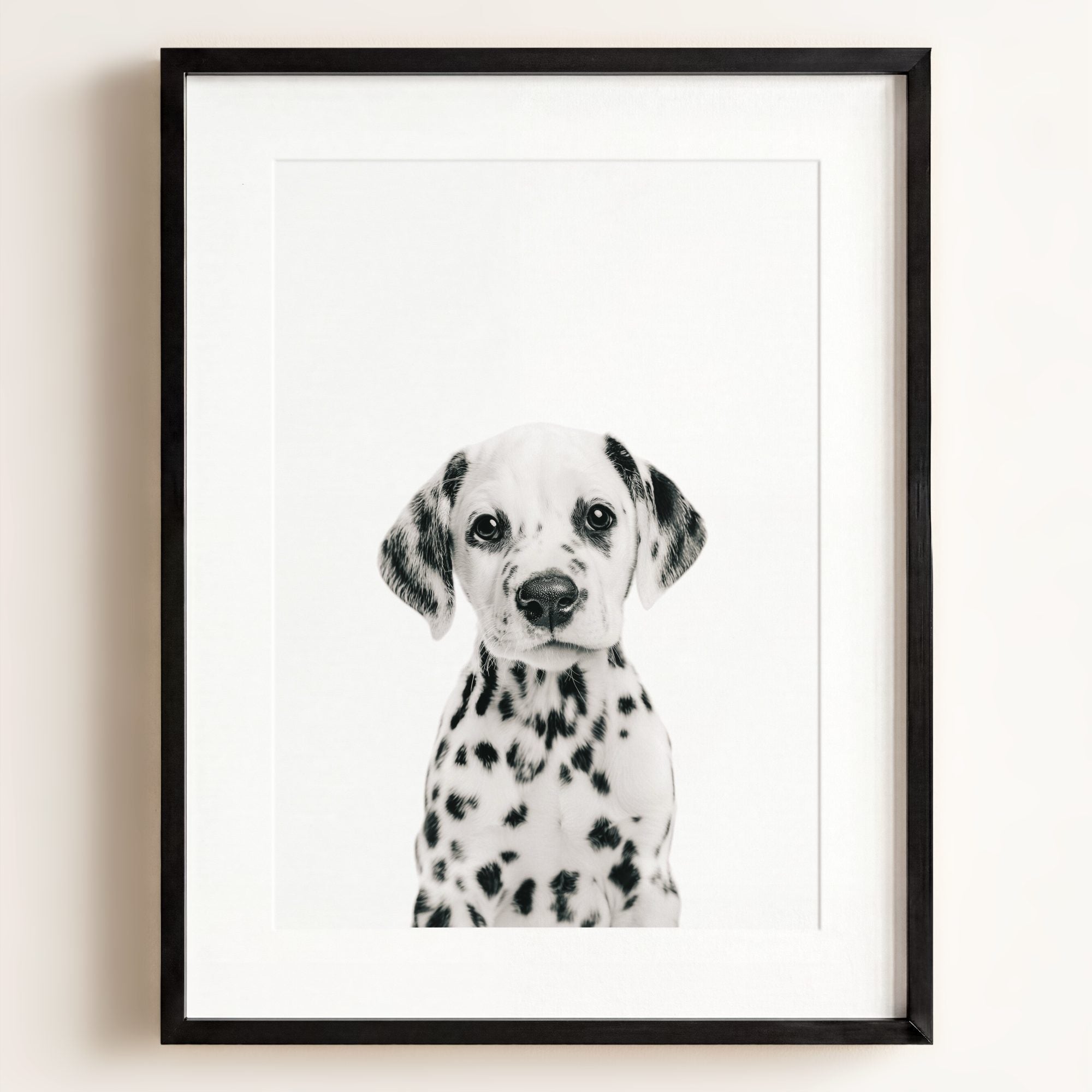 Baby Puppy Dalmatian