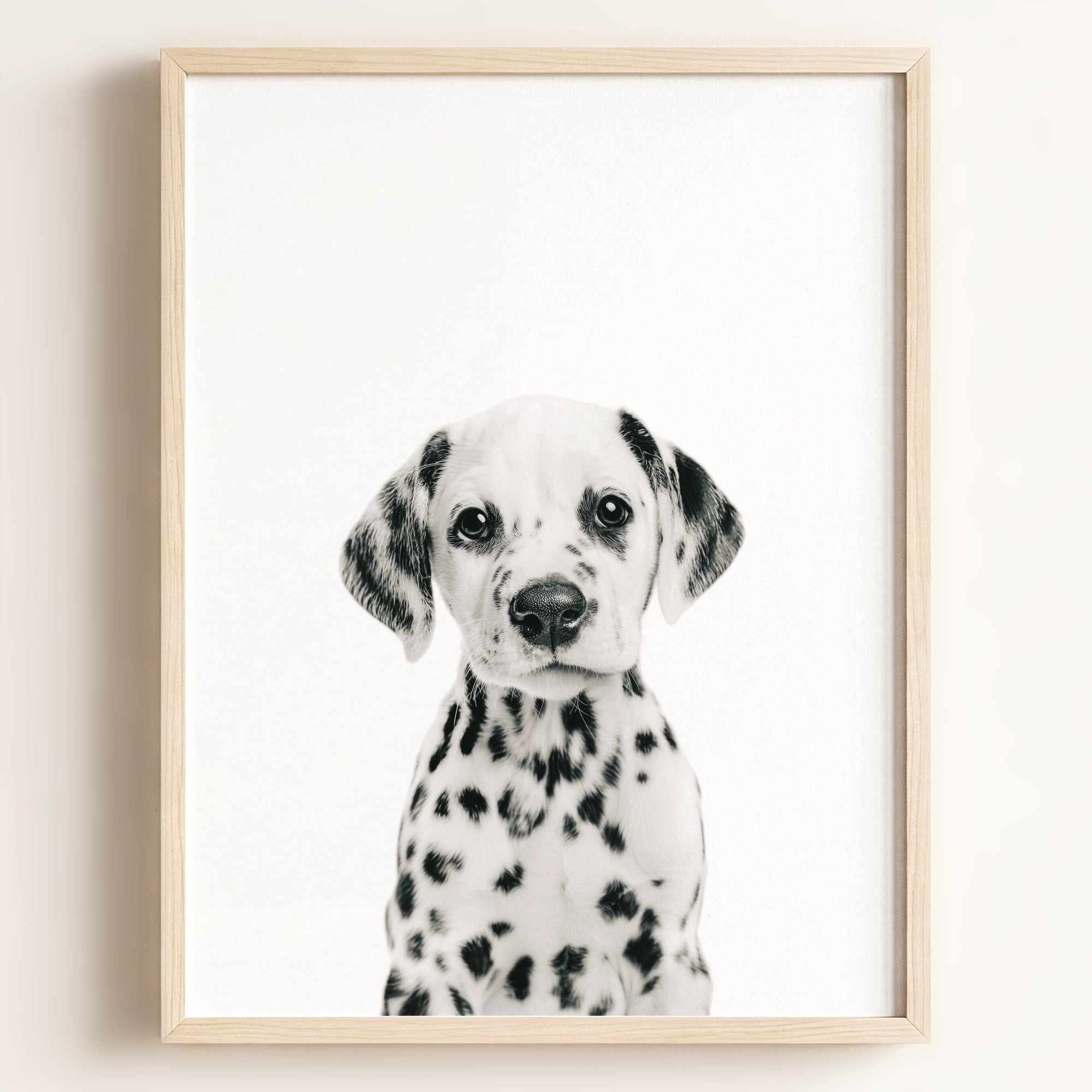 Baby Puppy Dalmatian