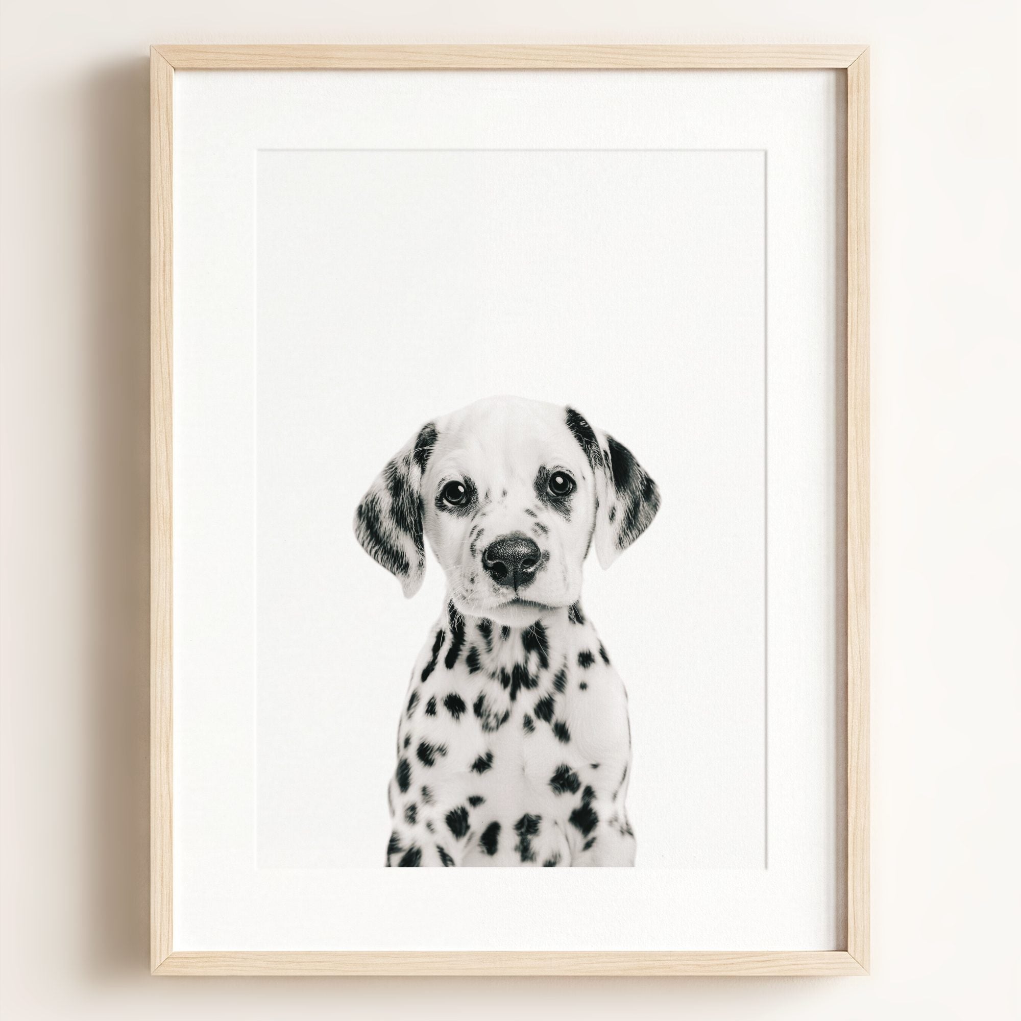 Baby Puppy Dalmatian