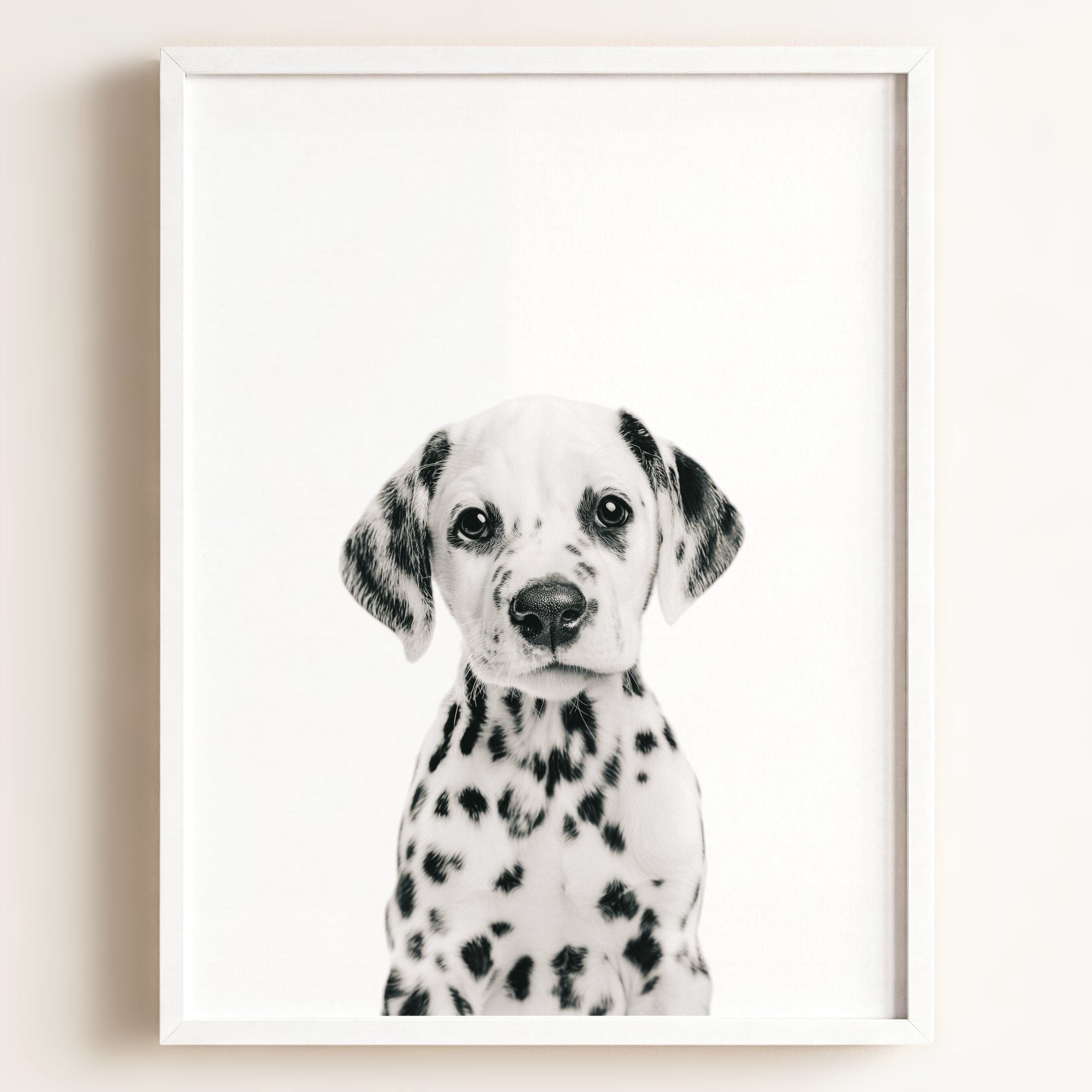 Baby Puppy Dalmatian