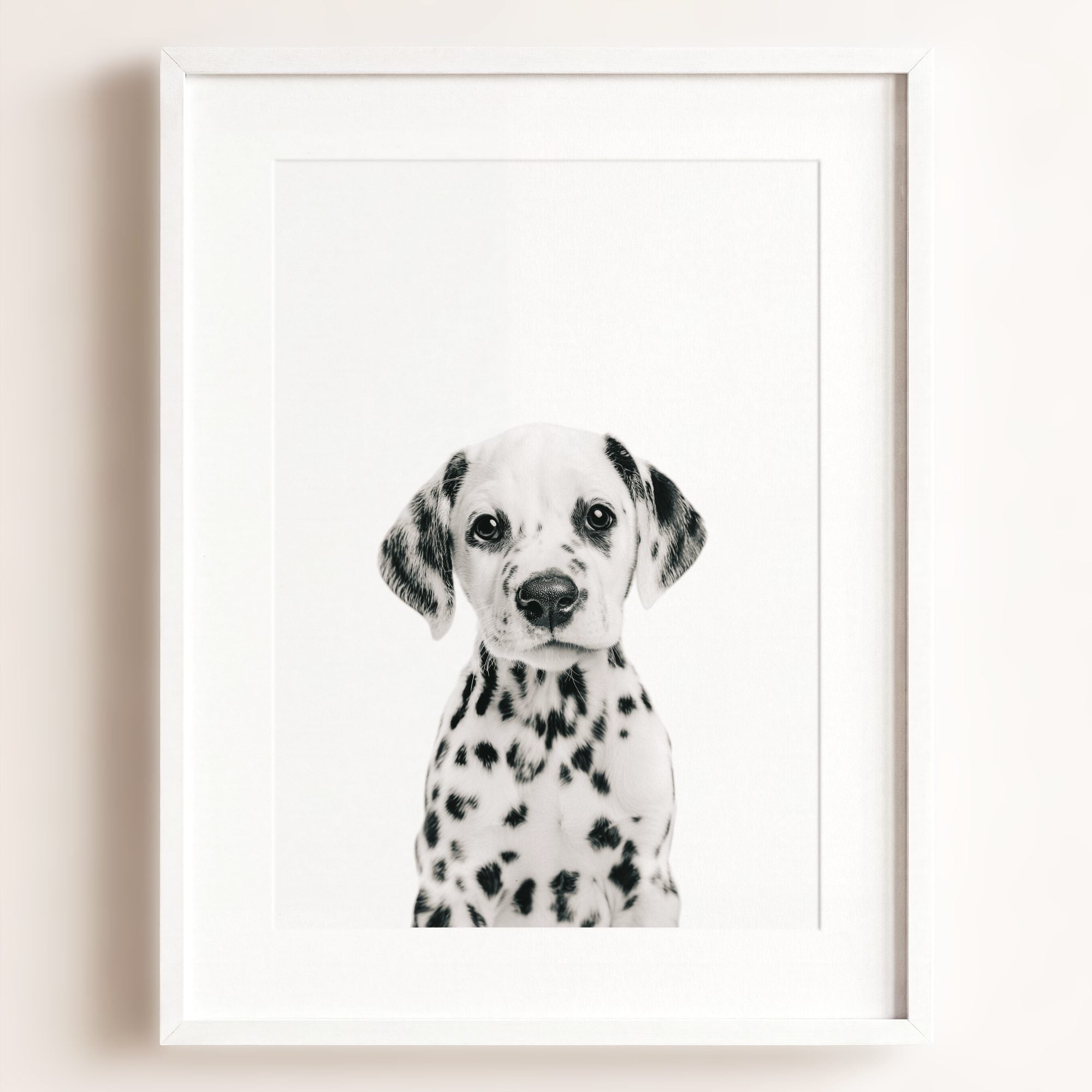 Baby Puppy Dalmatian