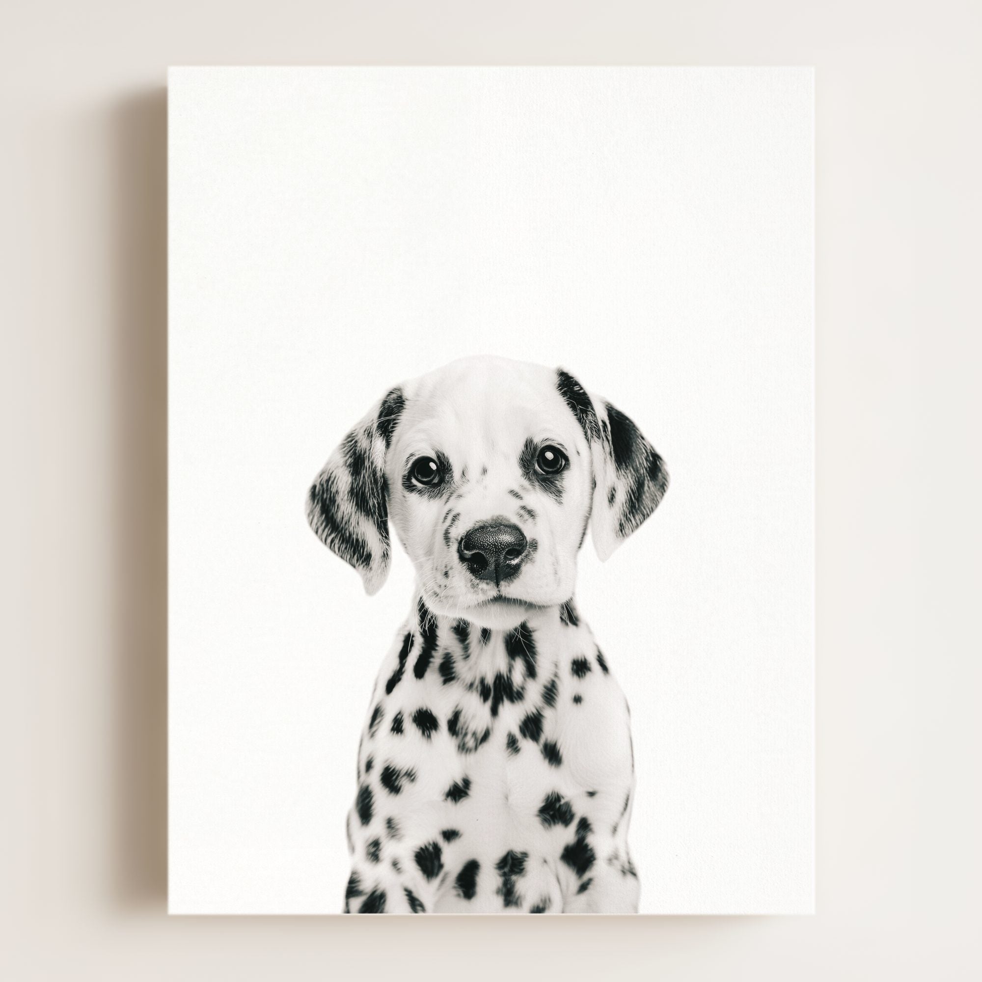 Baby Puppy Dalmatian