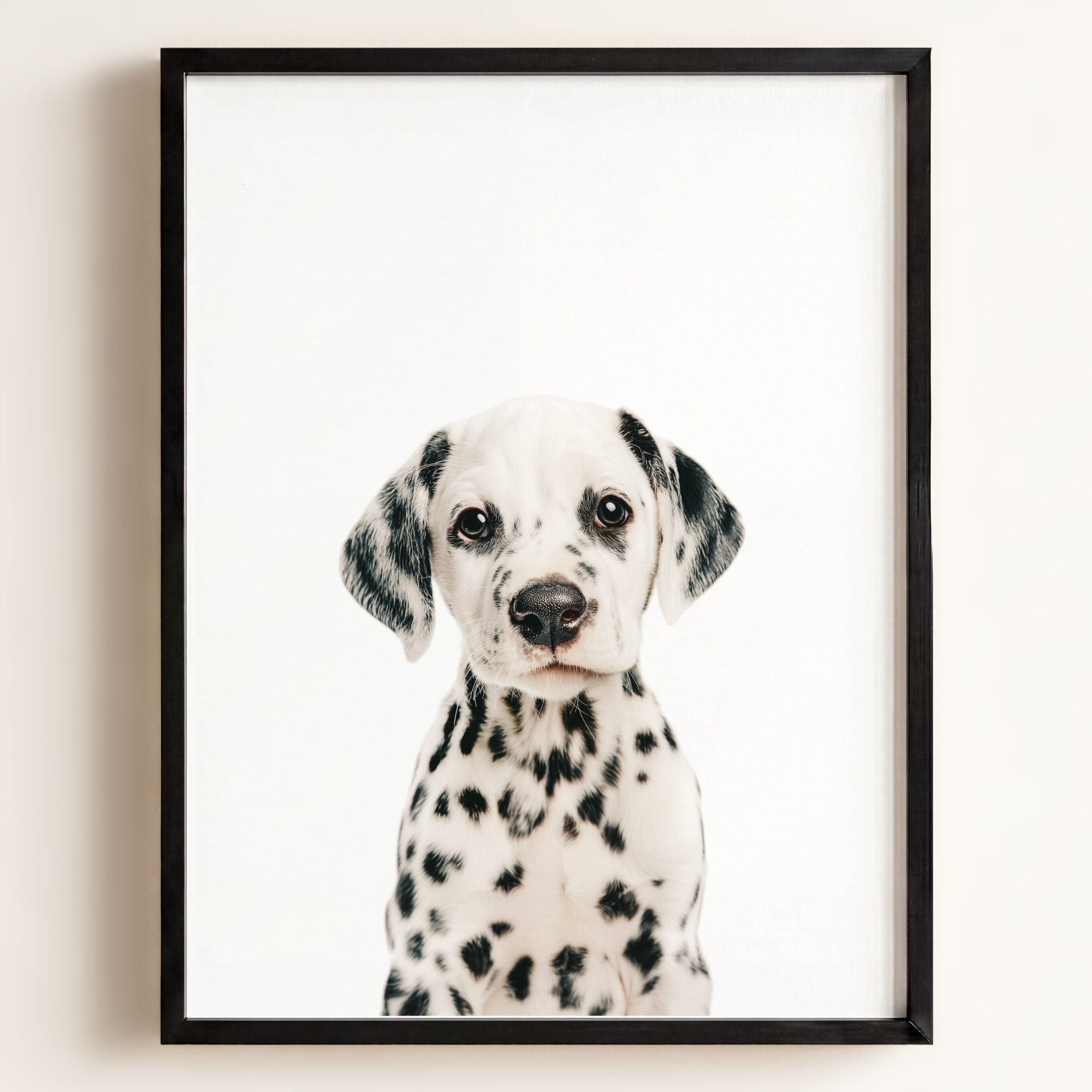 Baby Puppy Dalmatian
