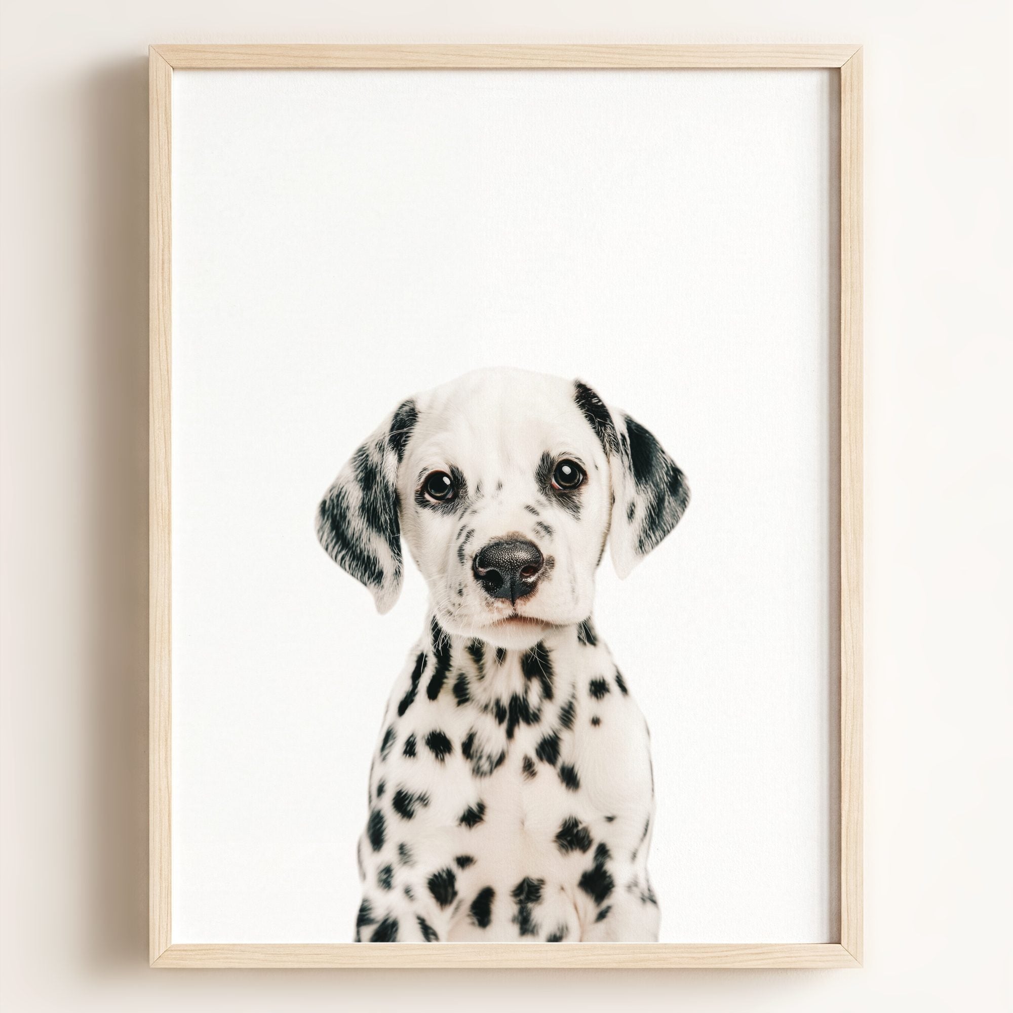 Baby Puppy Dalmatian