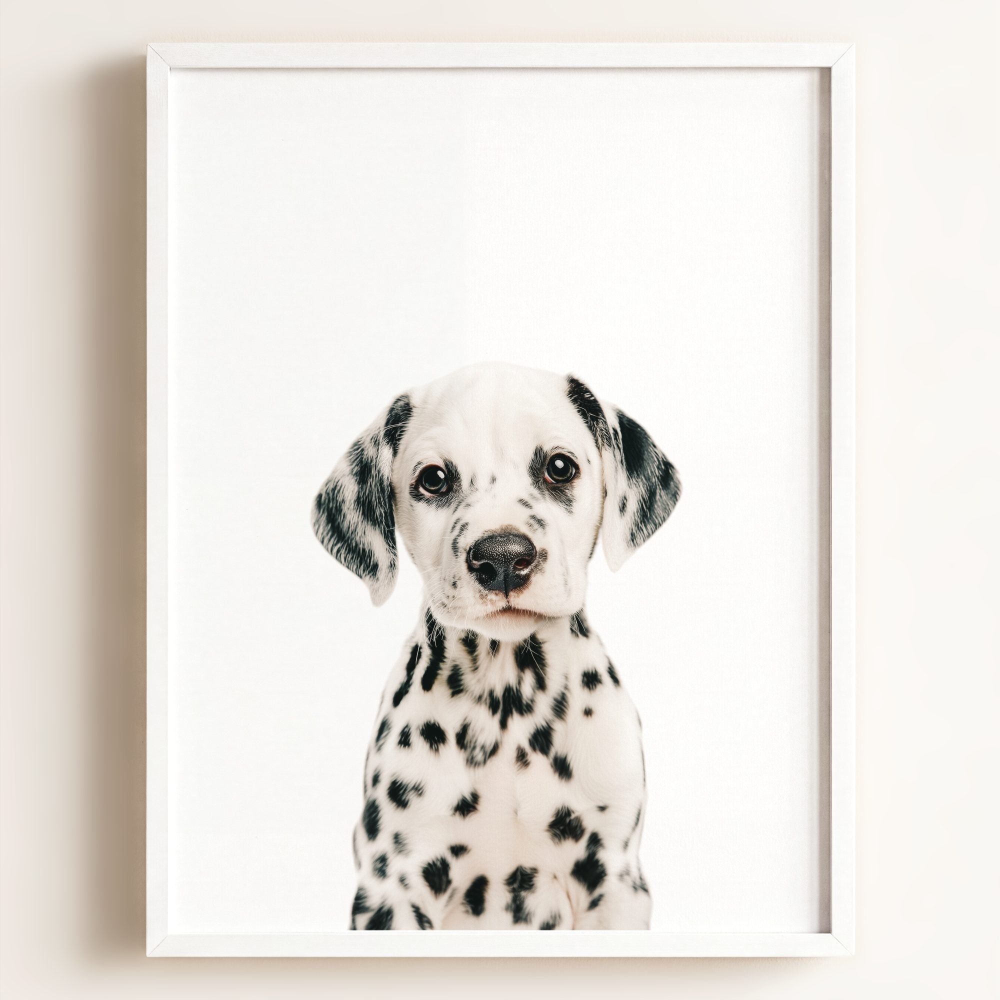 Baby Puppy Dalmatian