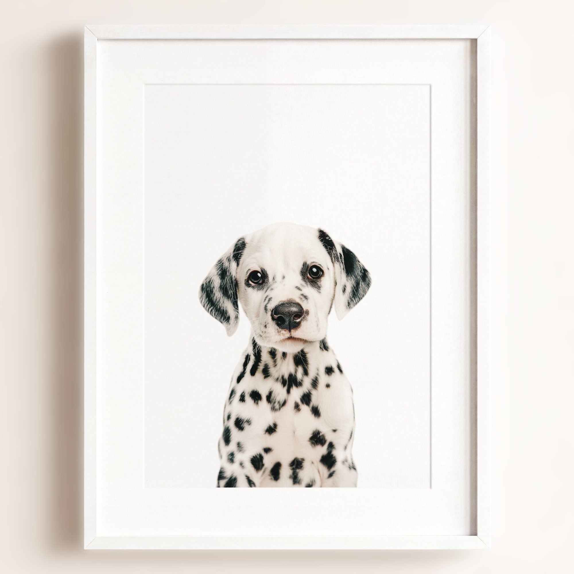 Baby Puppy Dalmatian